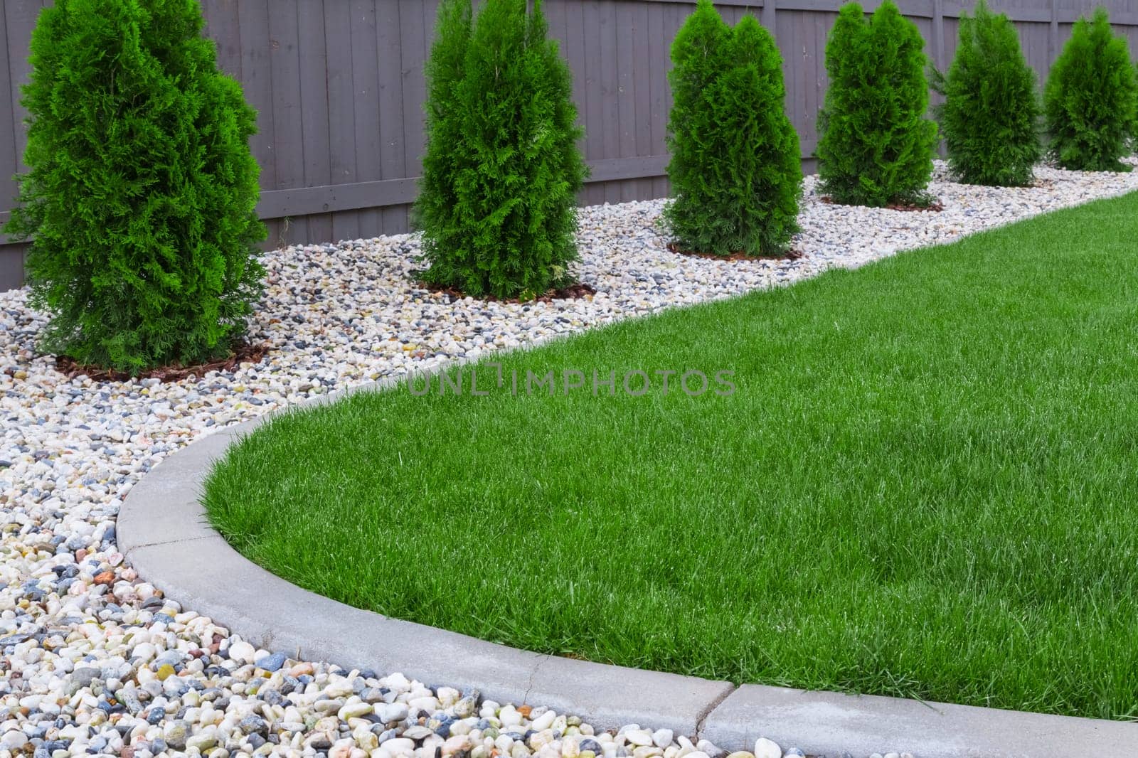 Backyard with fresh green grass