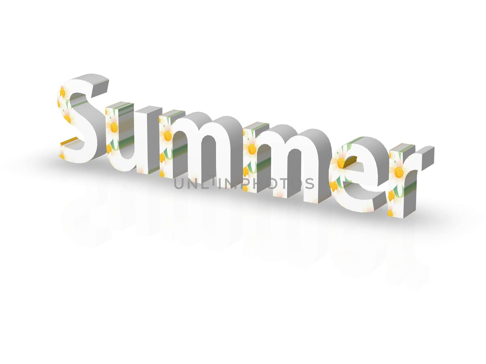 Spring/Summer
