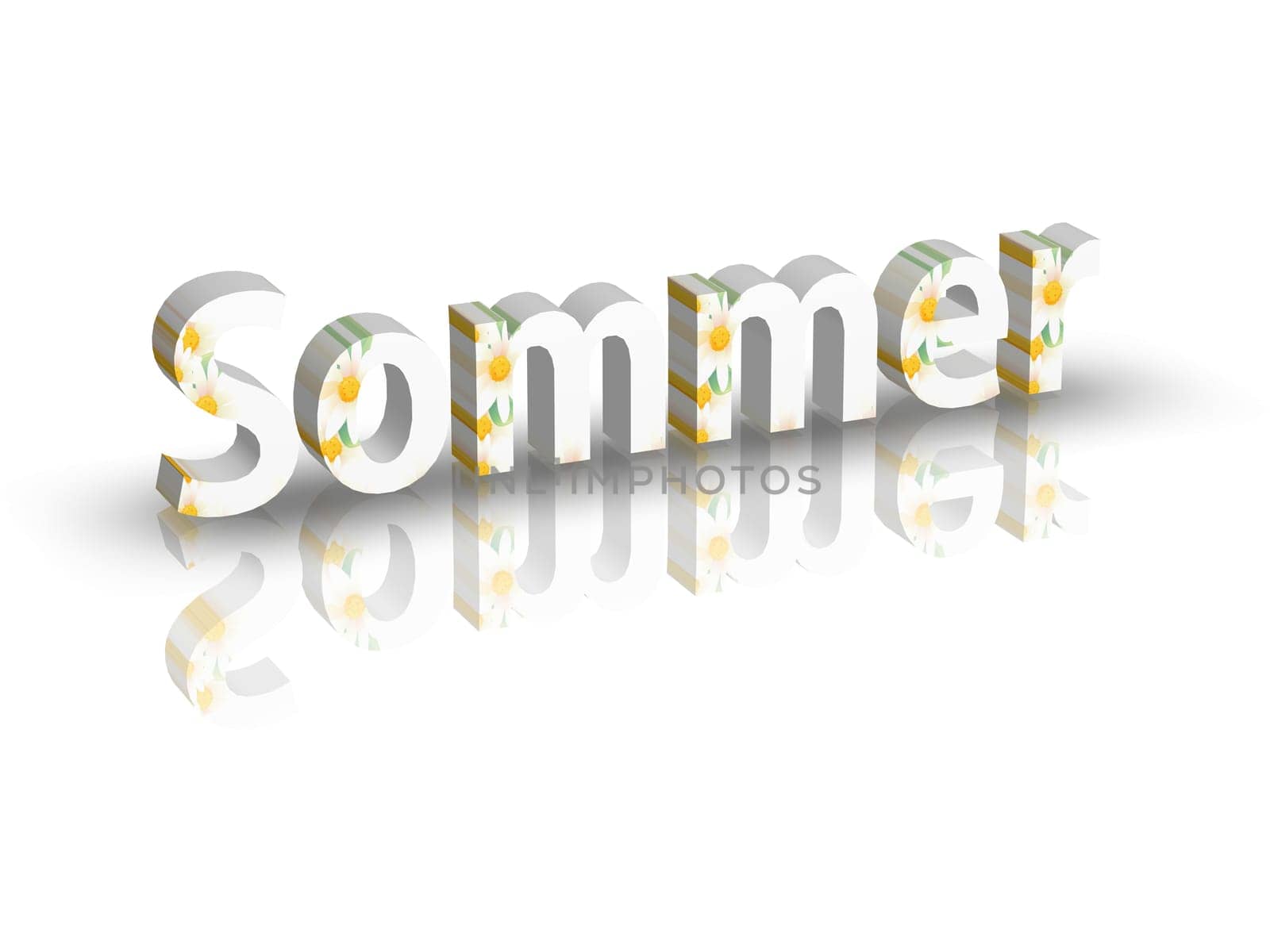 Spring/Summer
