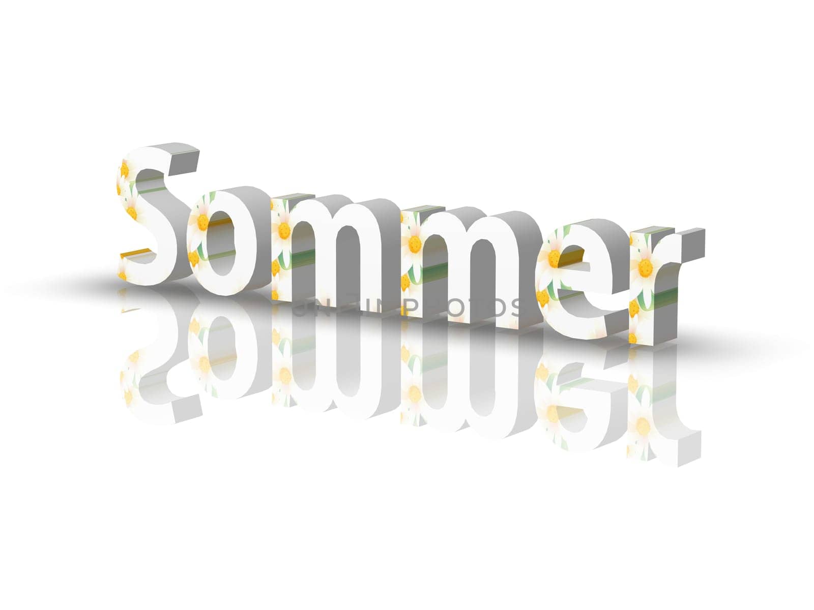 Spring/Summer