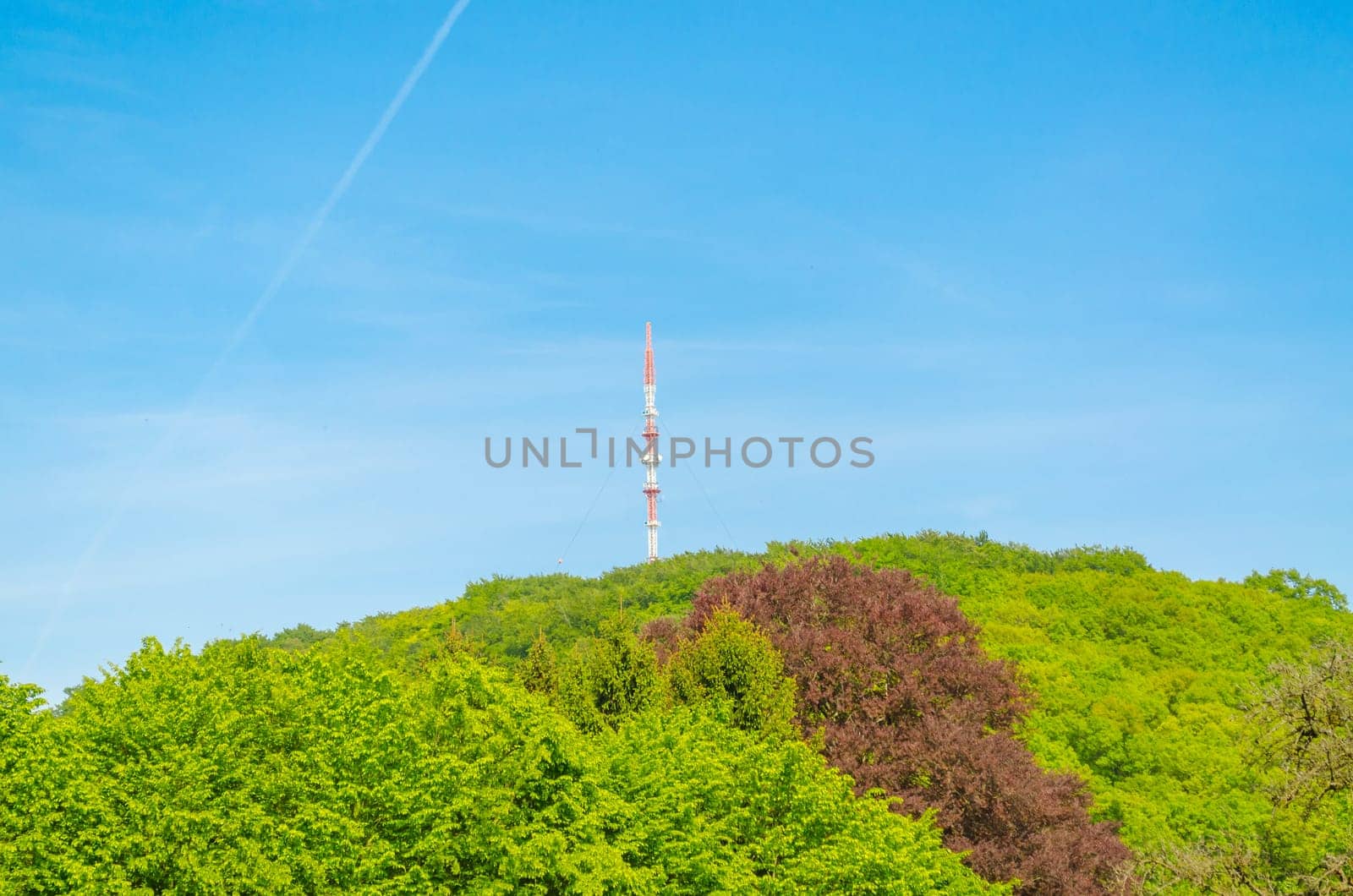 Broadcasting mast on a forest hill in front of a blue sky
