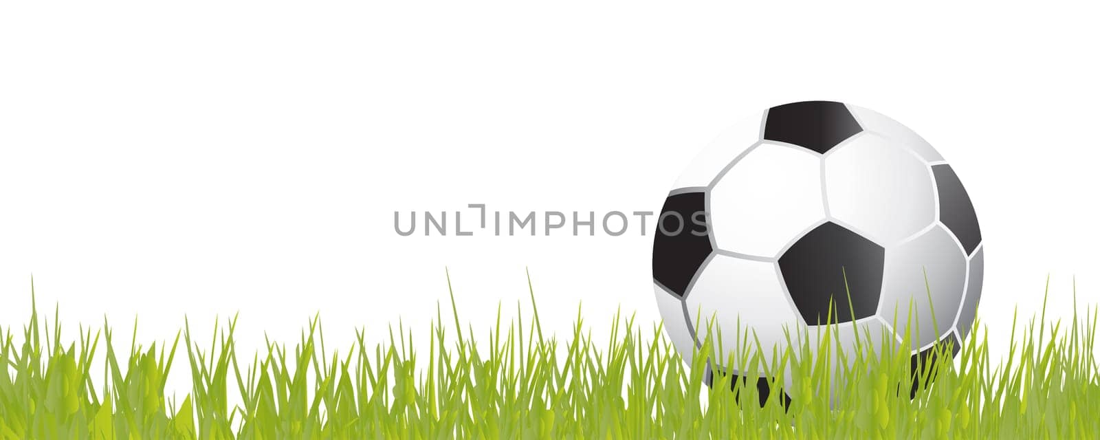 Football wm