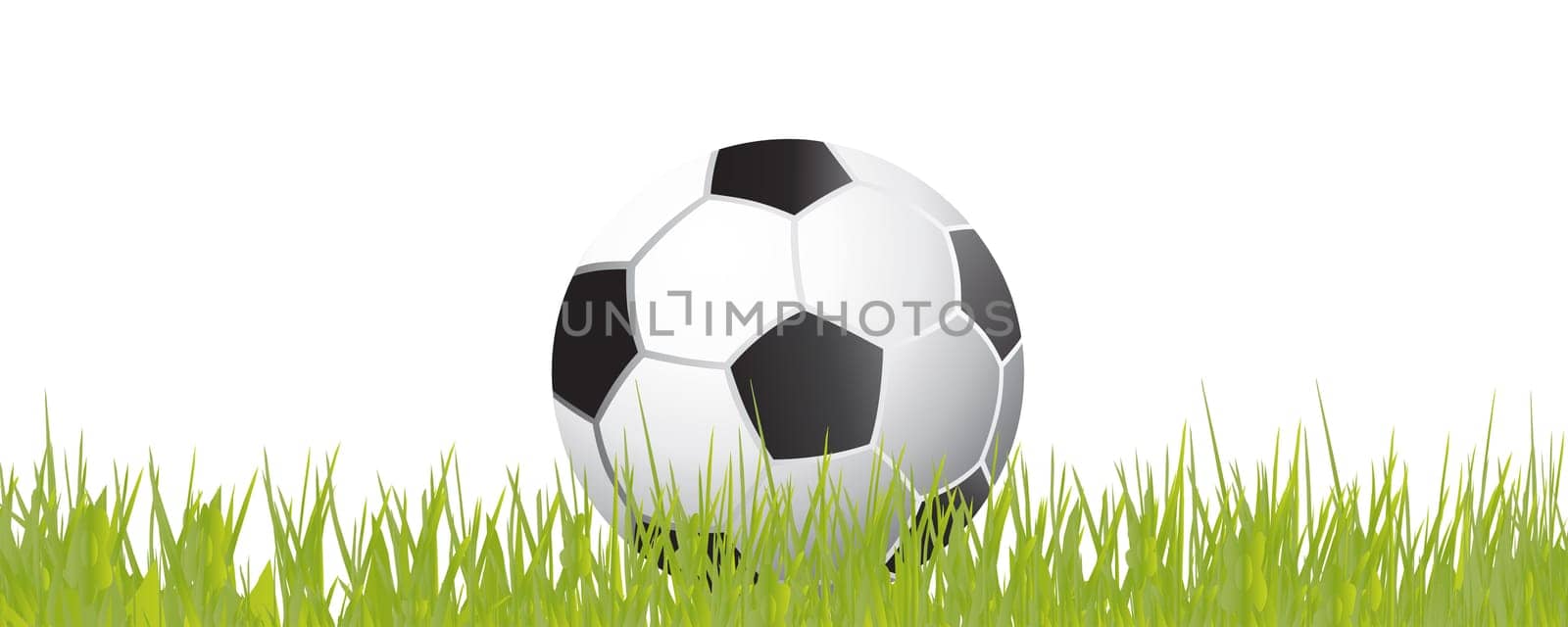 Football wm