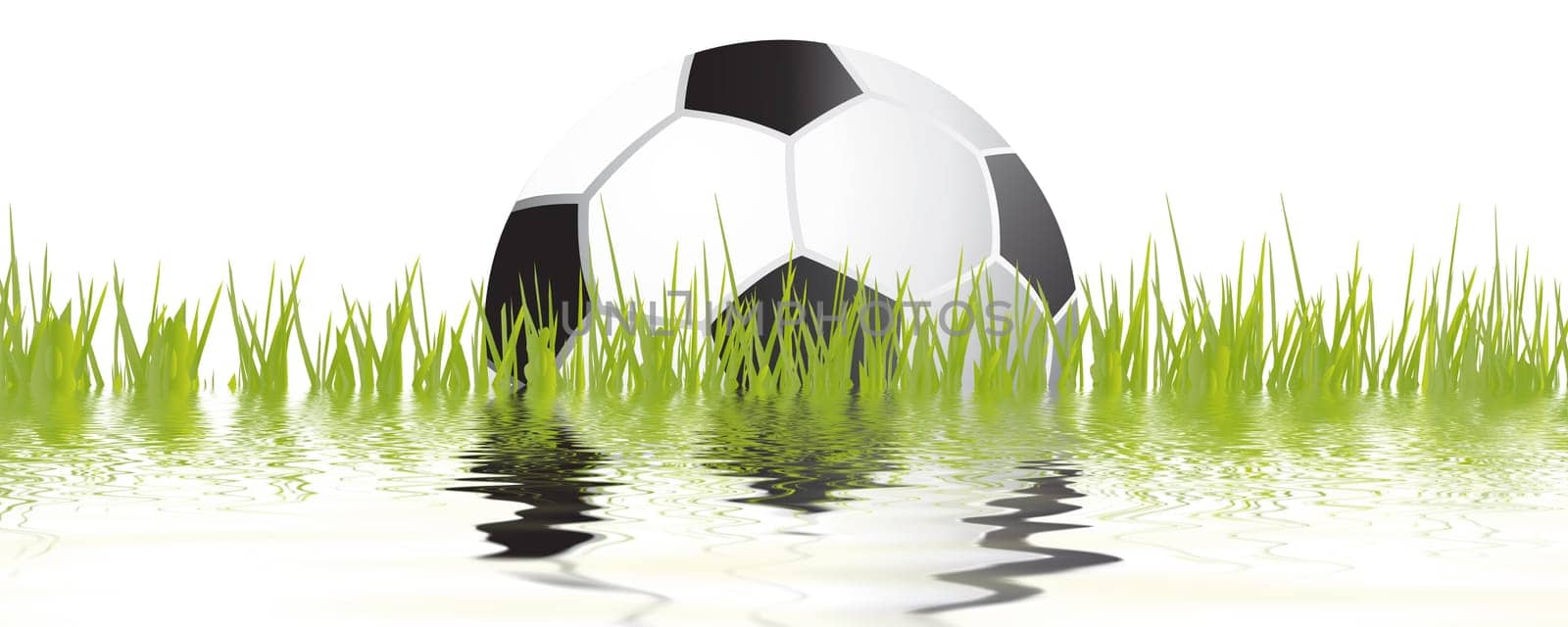 Football wm