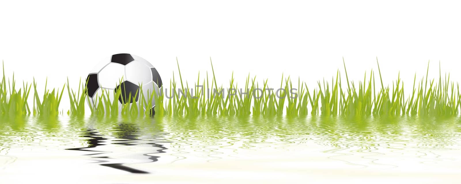 Football wm