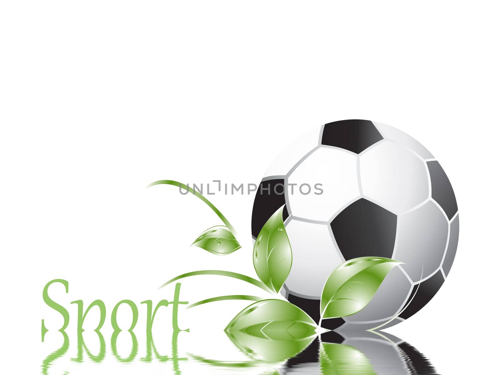 Football wm