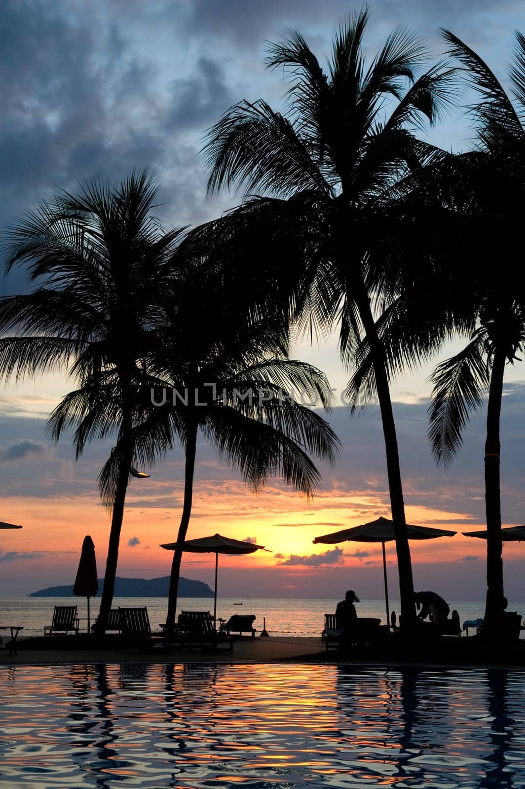 Evening in tropical hotel, silhouette of palm tree and swimming pool