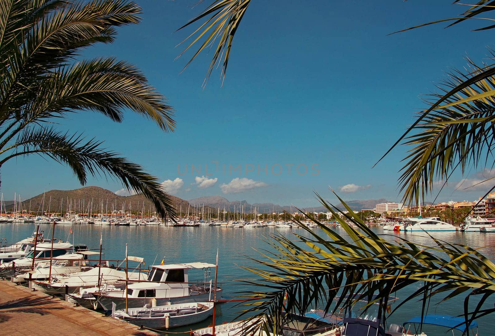 Port d'Alcudia Mallorca Spanien / Port d'Alcudia Mallorca Spain