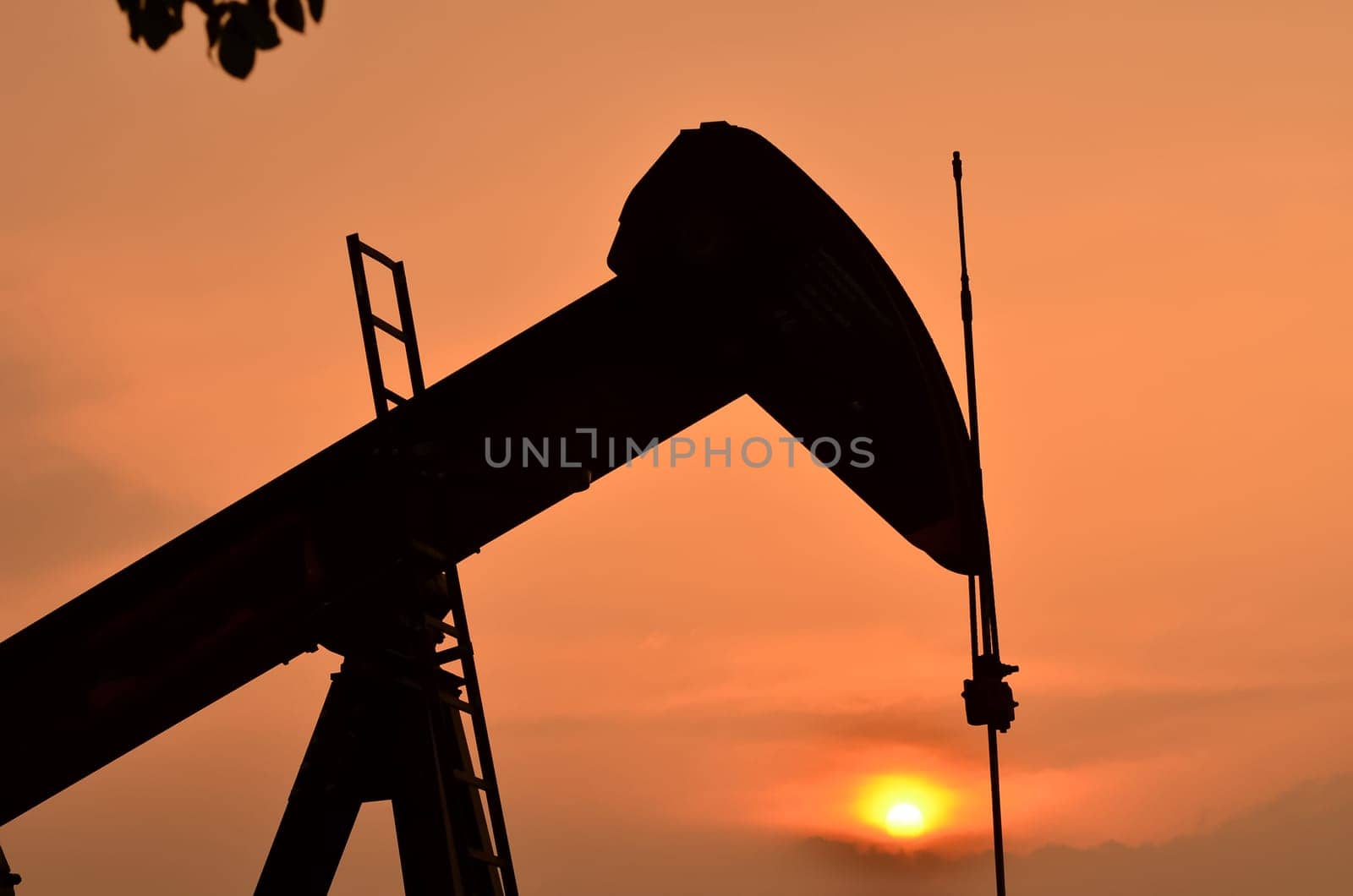 pumpjack pumping crude oil from oil well
