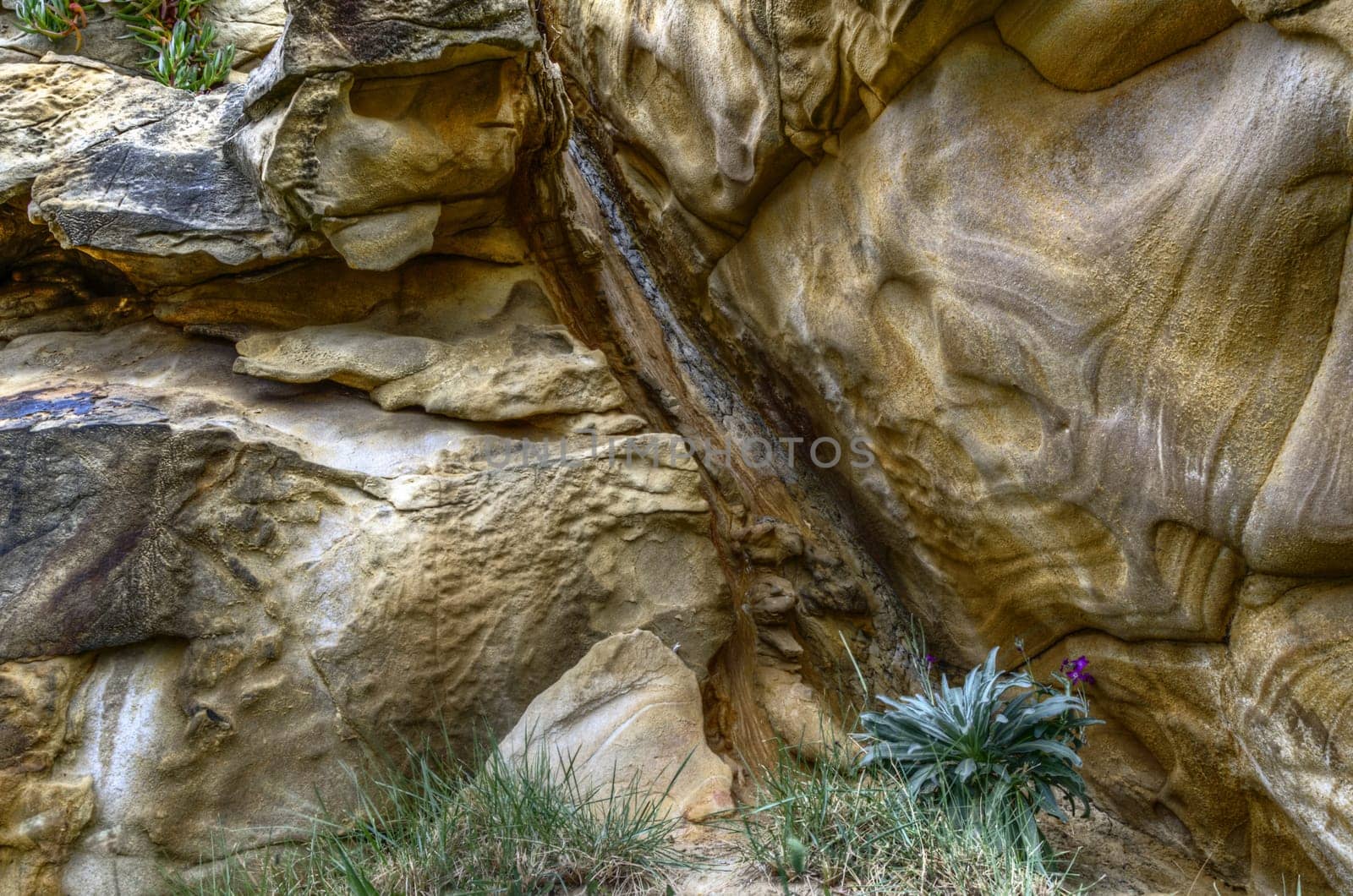 Very detailet rock texture in the forest. With great colors and the image is HDR