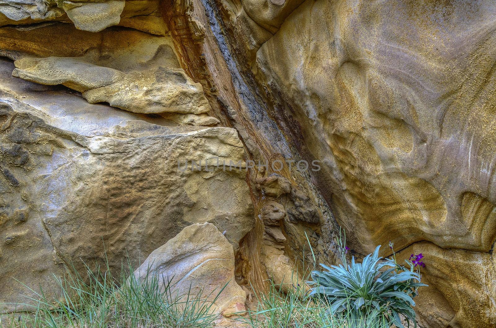 Very detailet rock texture in the forest. With great colors and the image is HDR