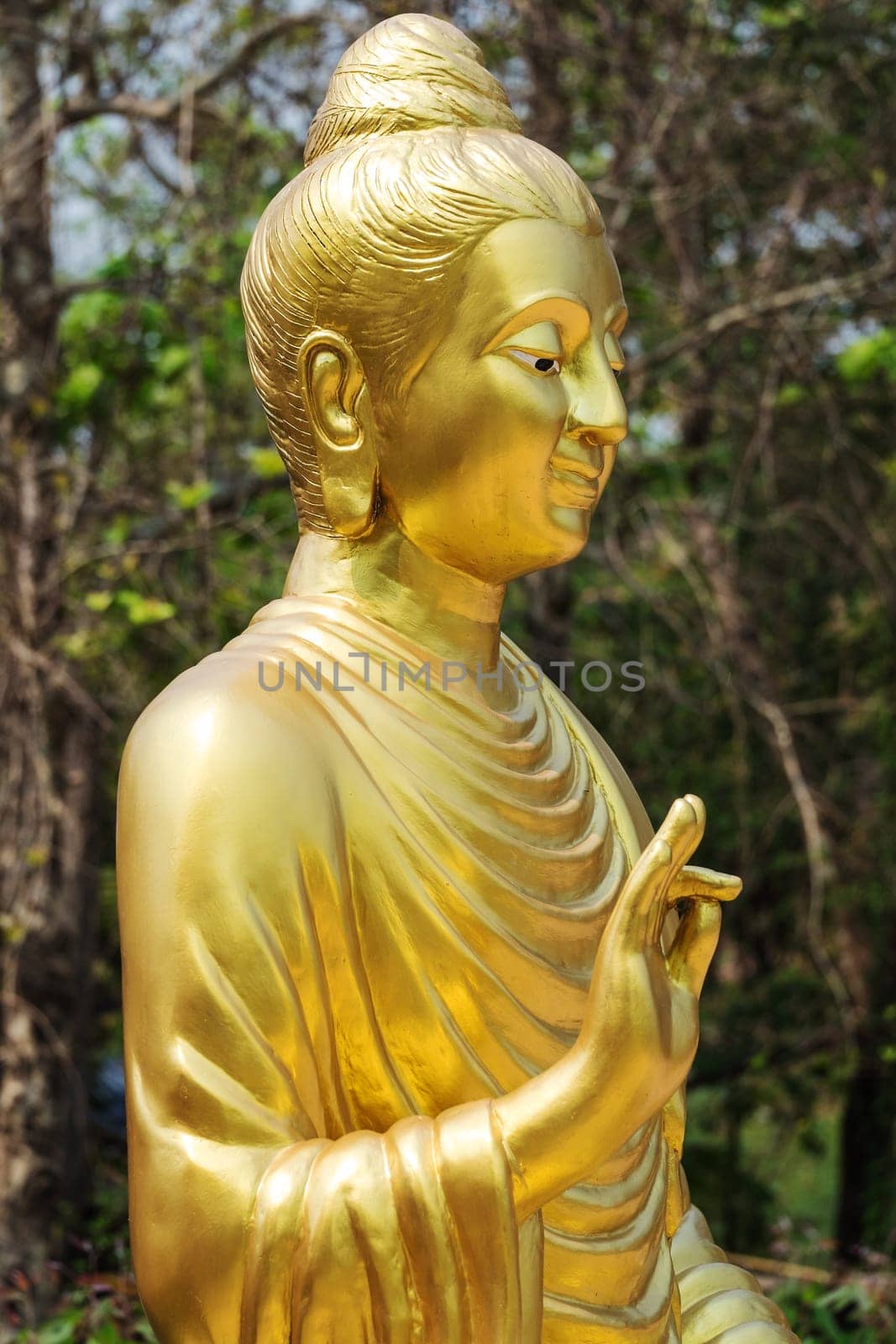 Buddhist figure Thailand,golden spiritual figure