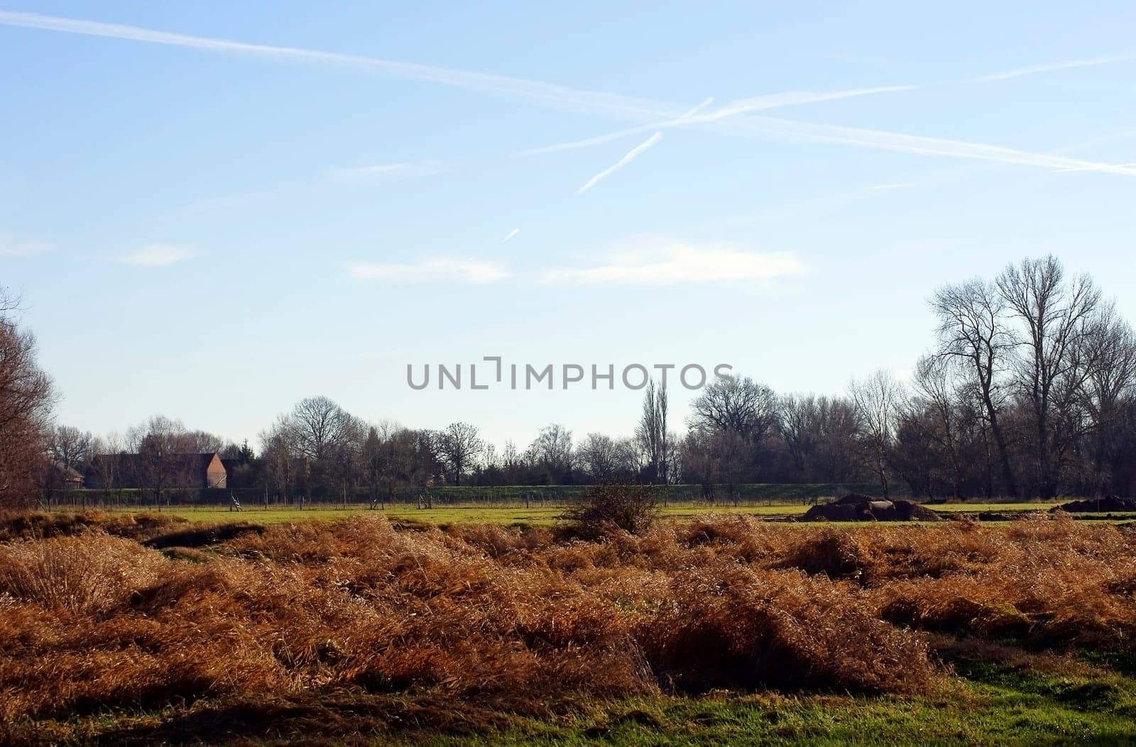 A meadow landscape in front of a dike with a farmstead.