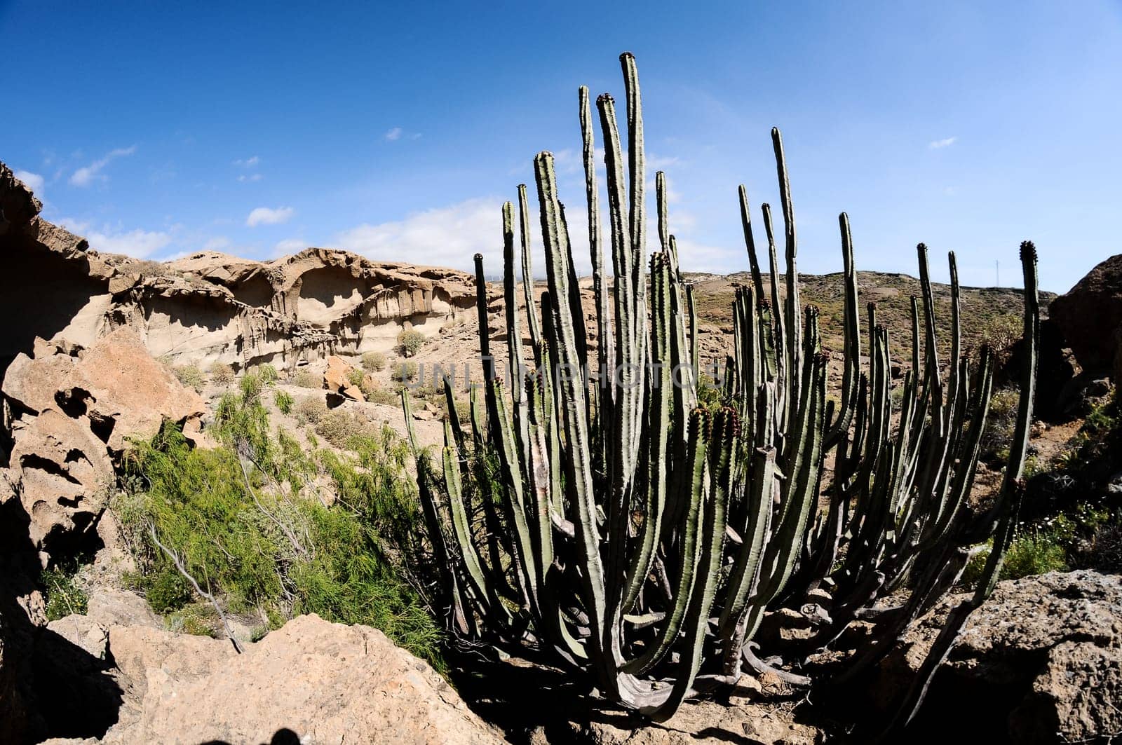 Desert landscape Natural Arch silhouette in Tenerife Canary Islands Spain