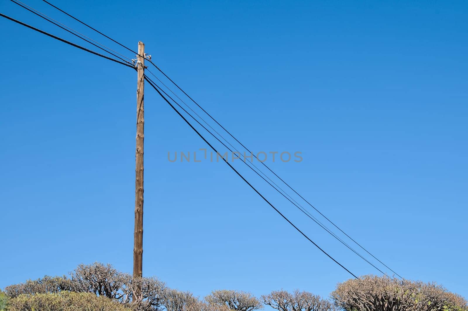 Old retro telephone poles in the field