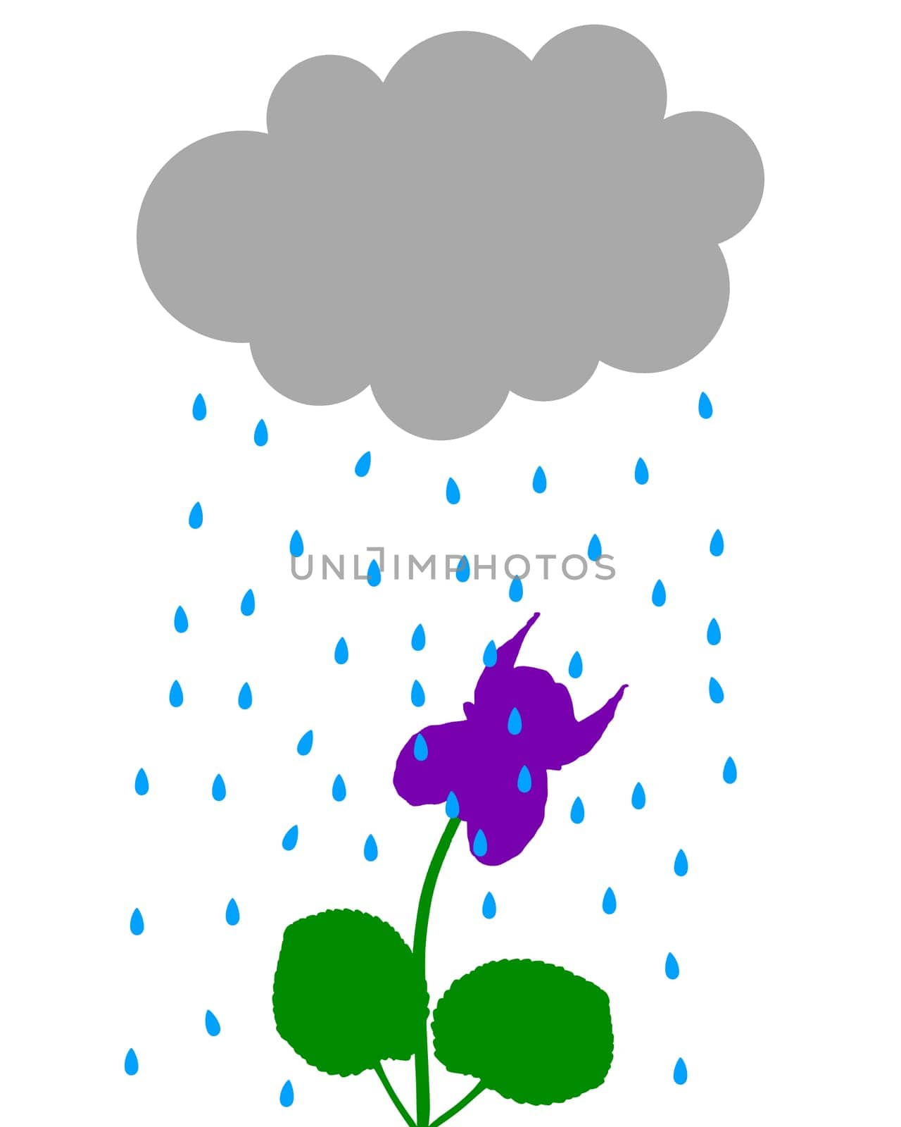 Rainy weather