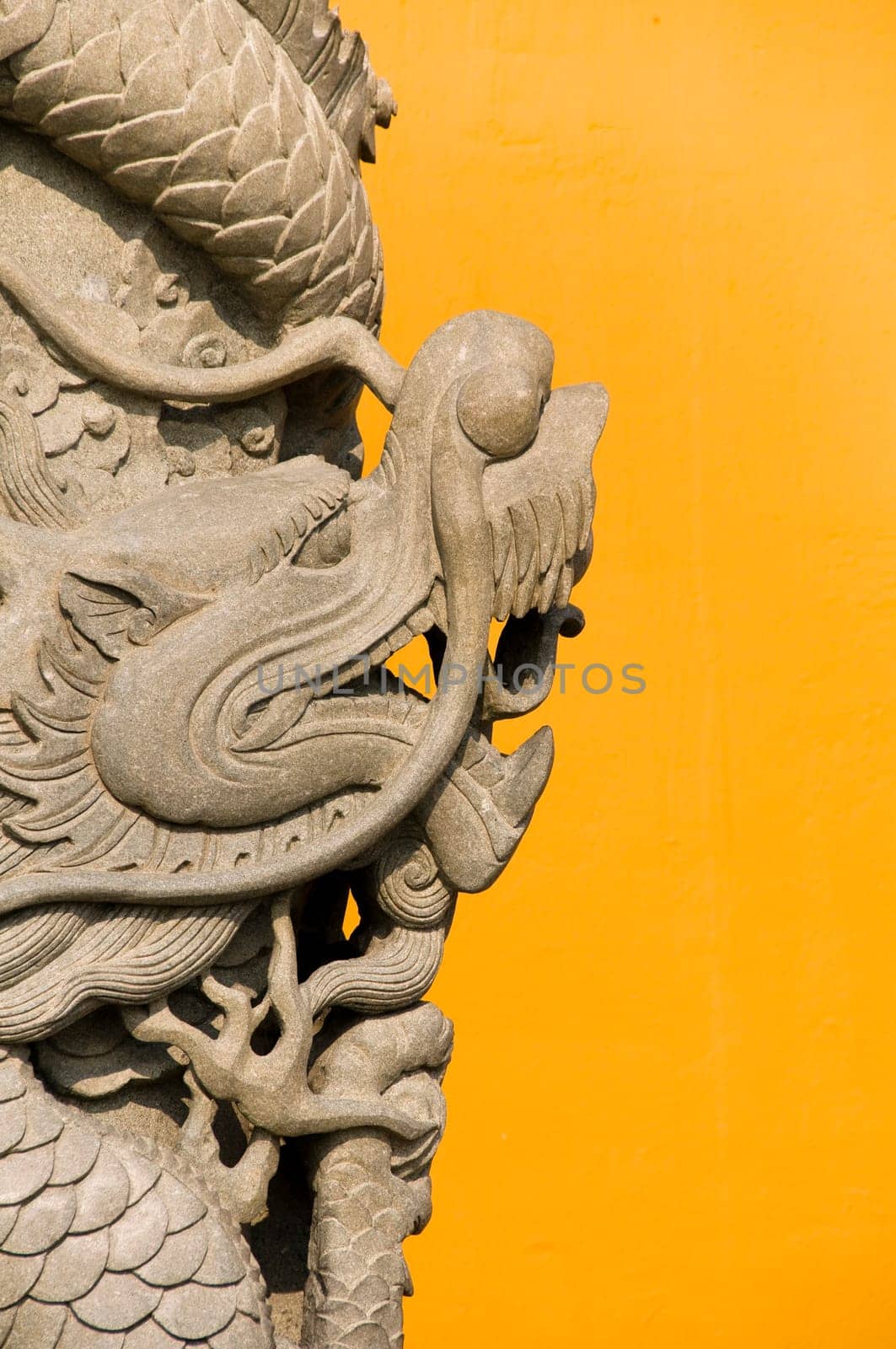 Close up of strone sculpted dragon