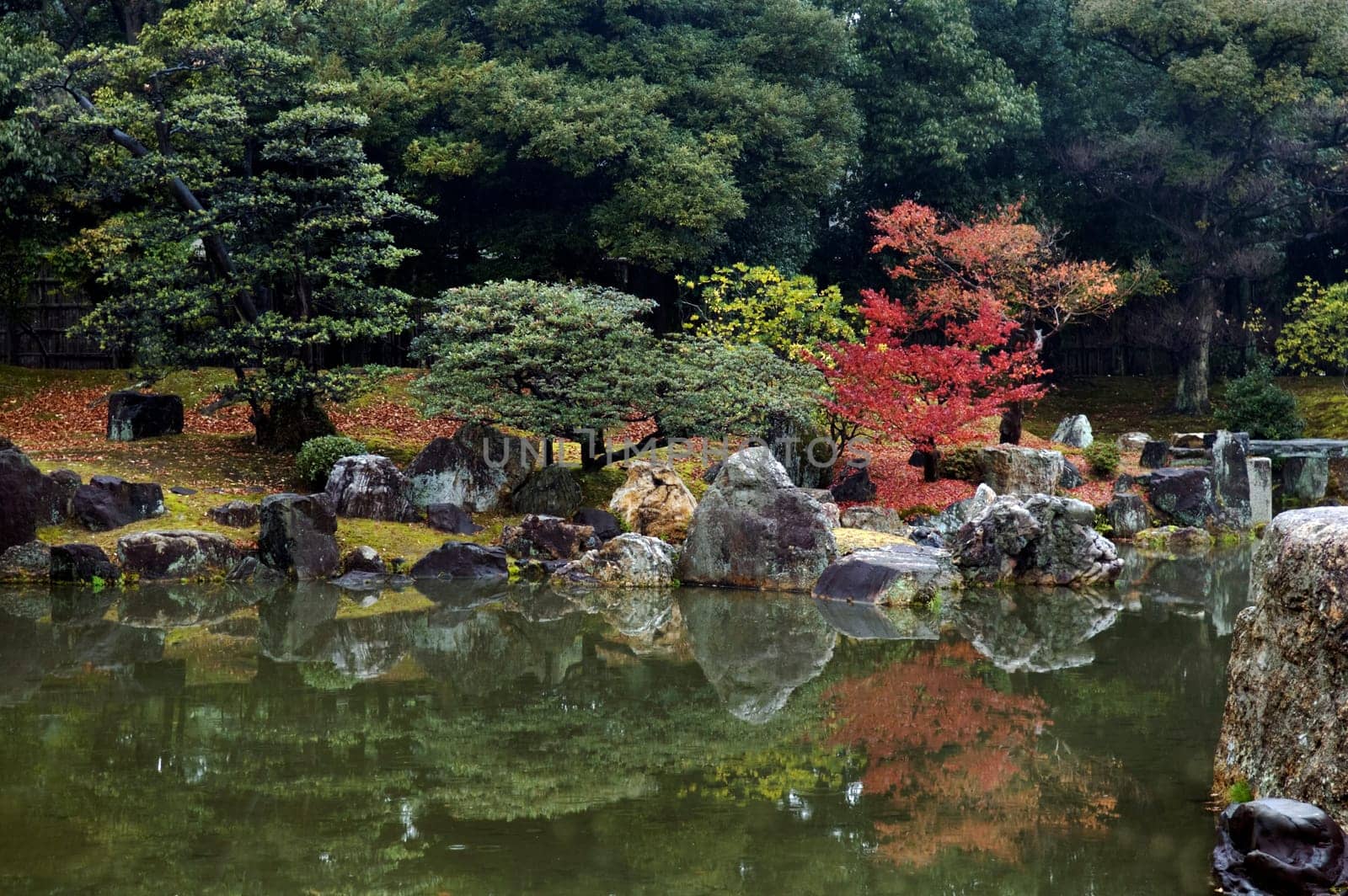 Beautiful Japanese garden with trees and pond