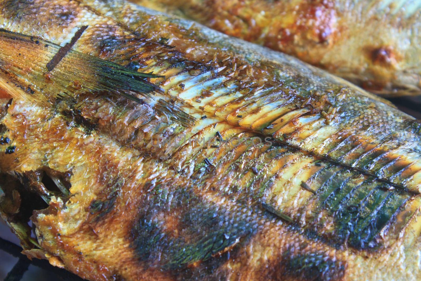 Cooking of salted fish on a grill stove