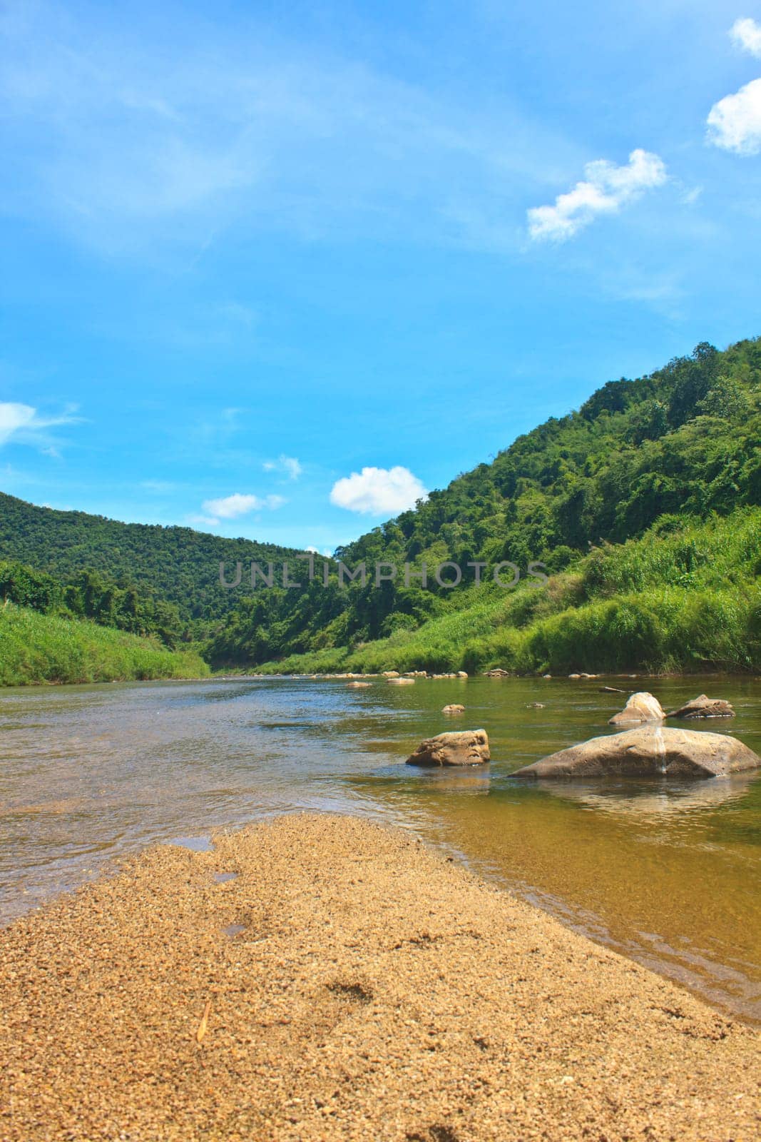 River in deep forest, river in evergreen forest in Thailand
