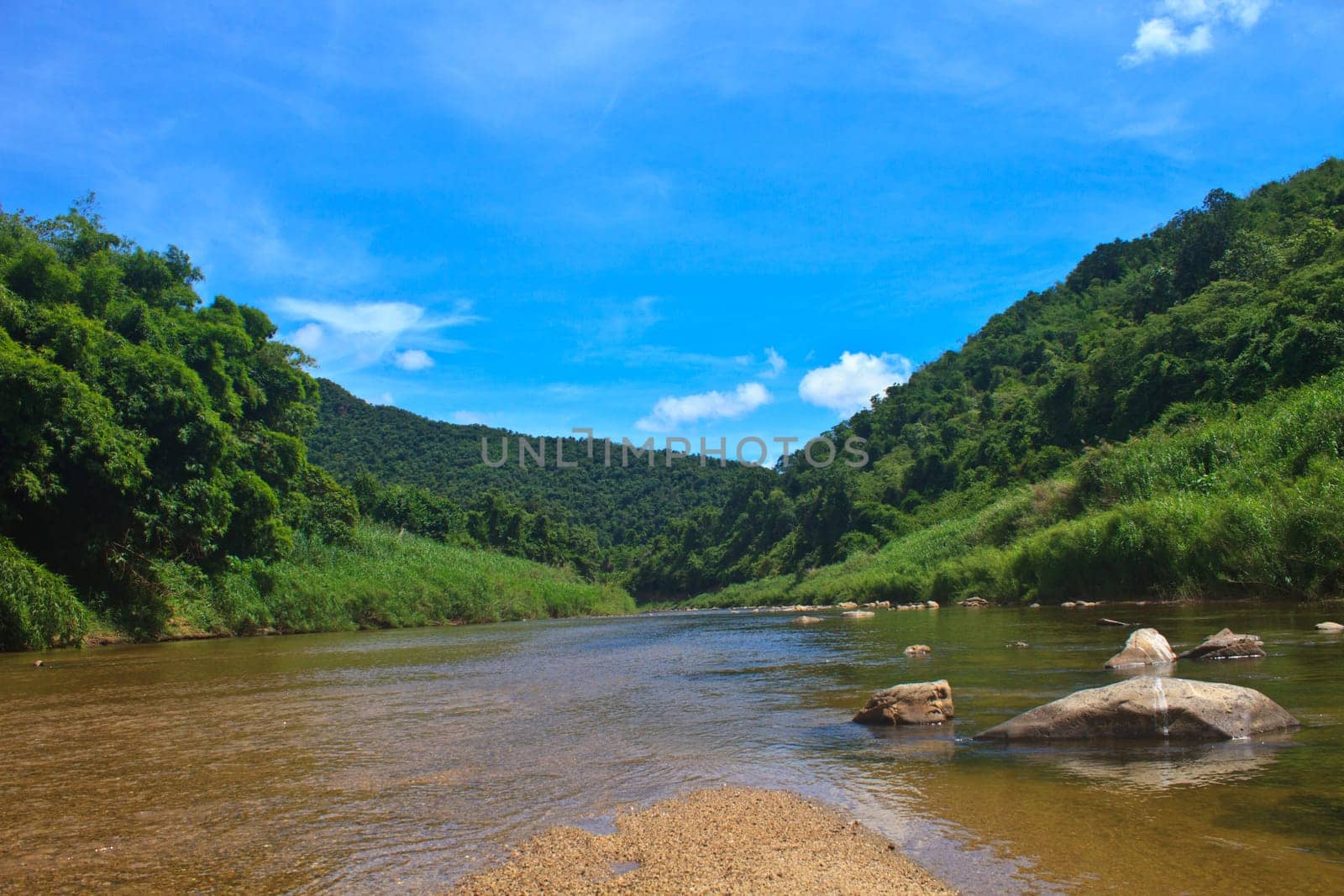 River in deep forest, river in evergreen forest in Thailand