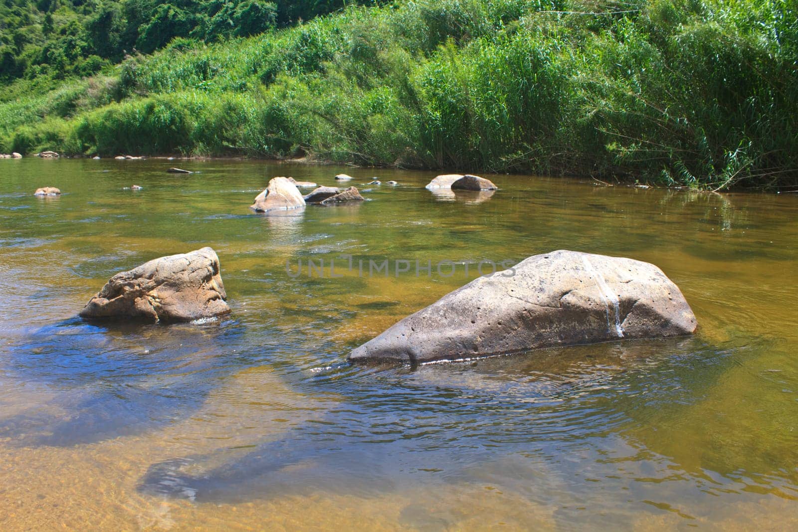 stones in river in deep forest, abstract nature background