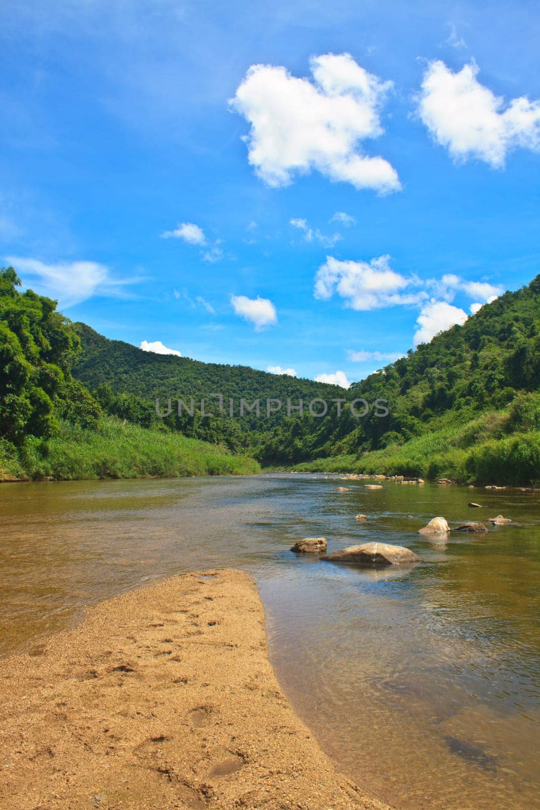 River in deep forest, river in evergreen forest in Thailand