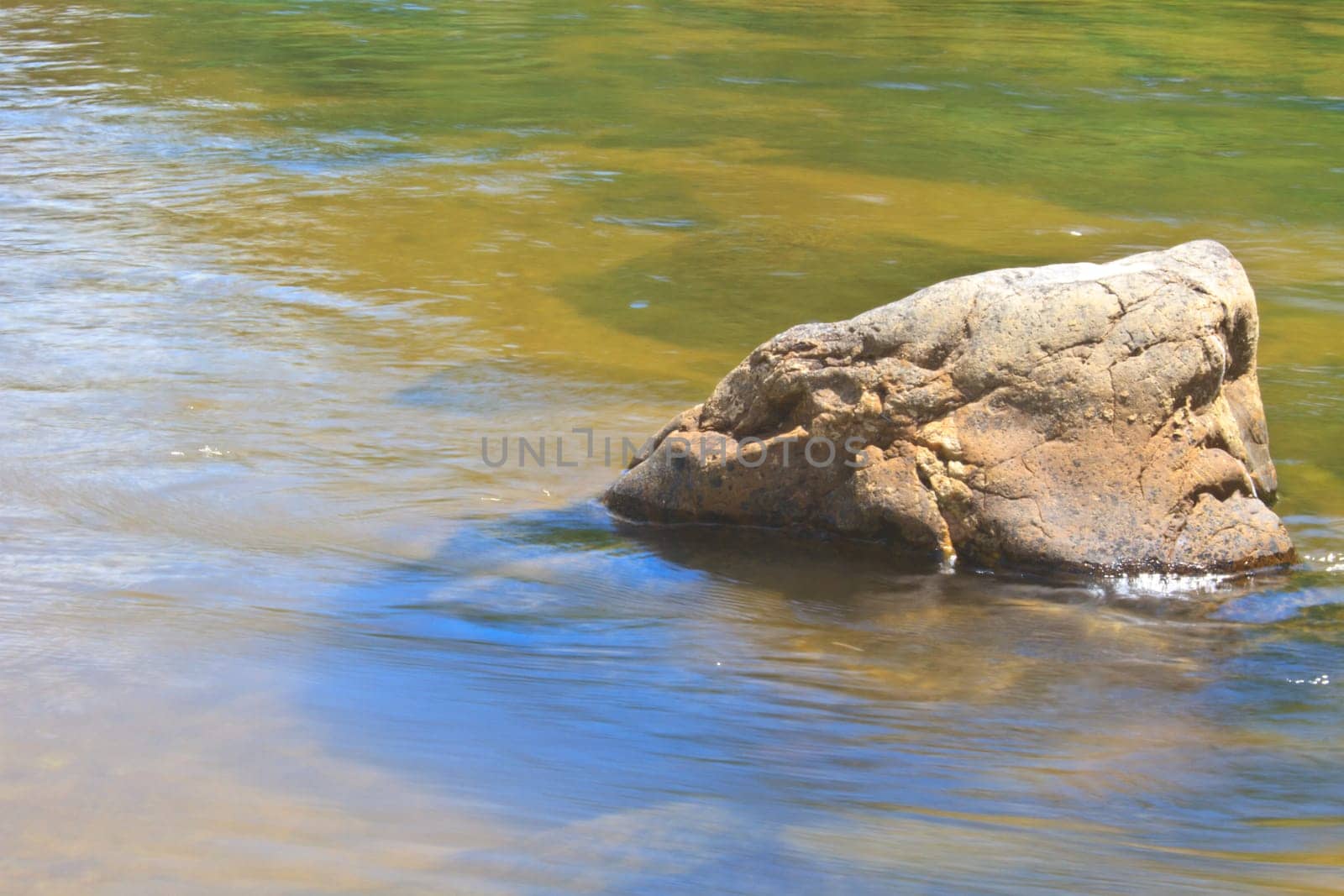 stones in river in deep forest, abstract nature background