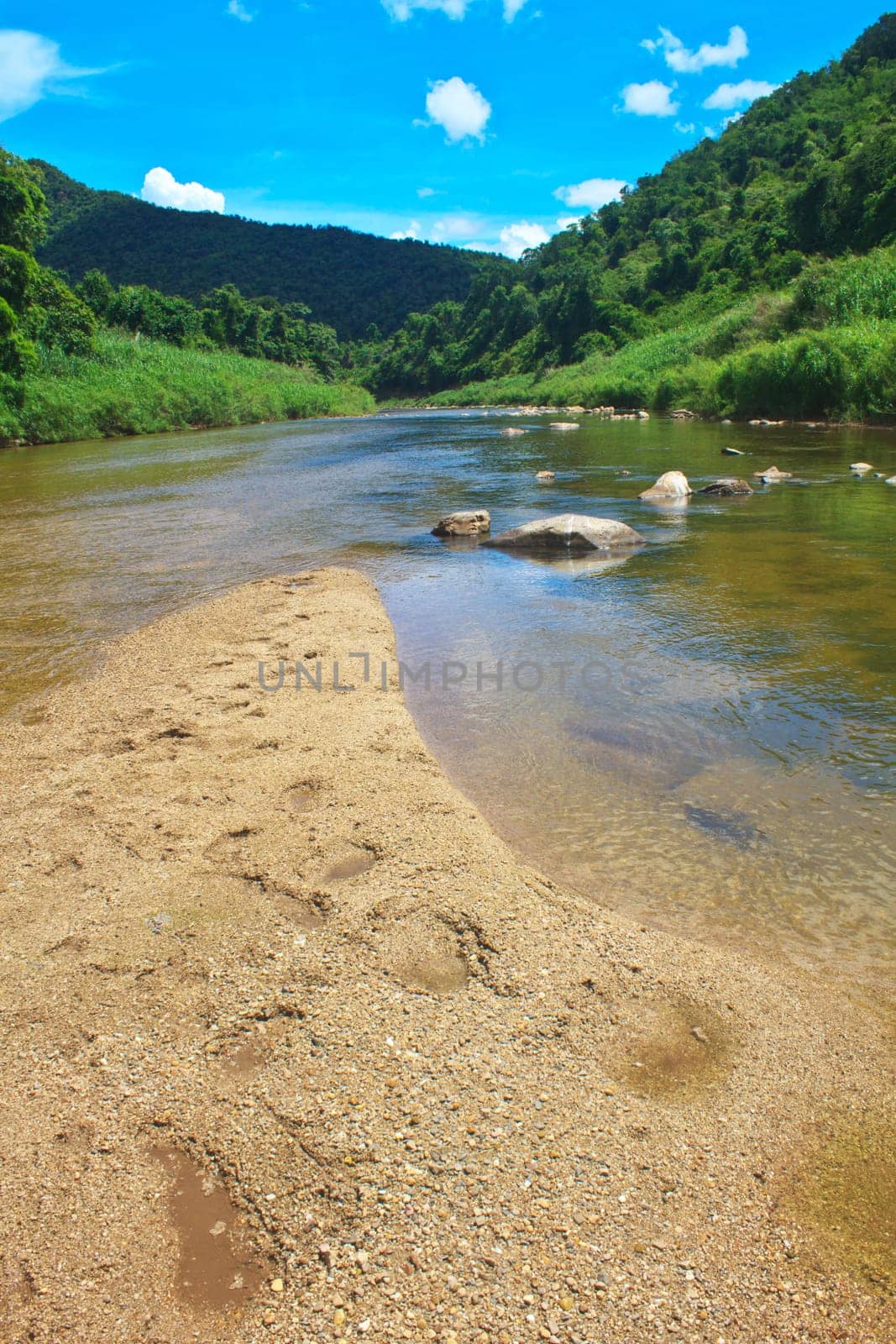 River in deep forest, river in evergreen forest in Thailand