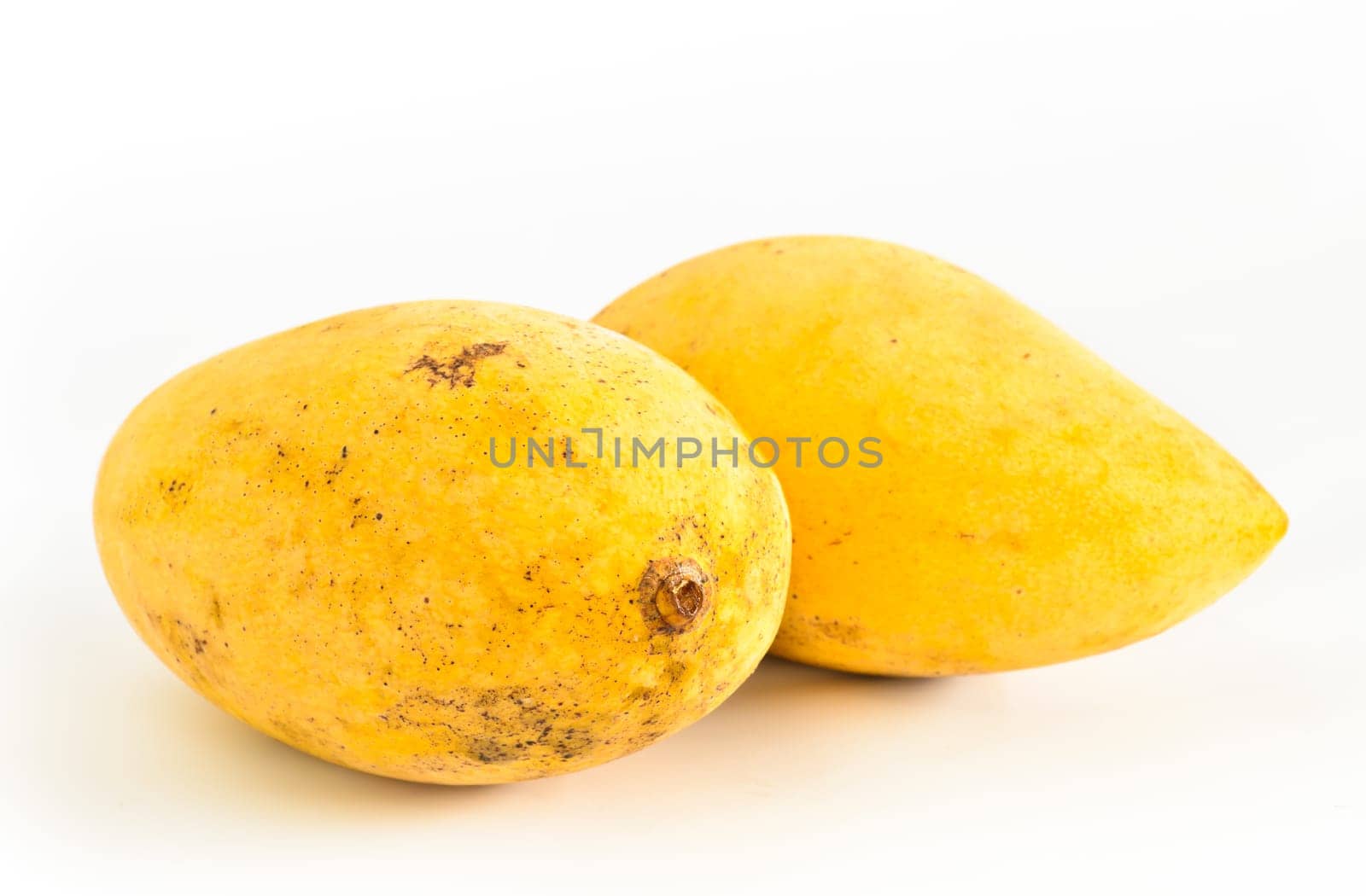Native tropical fruit to the South Asia