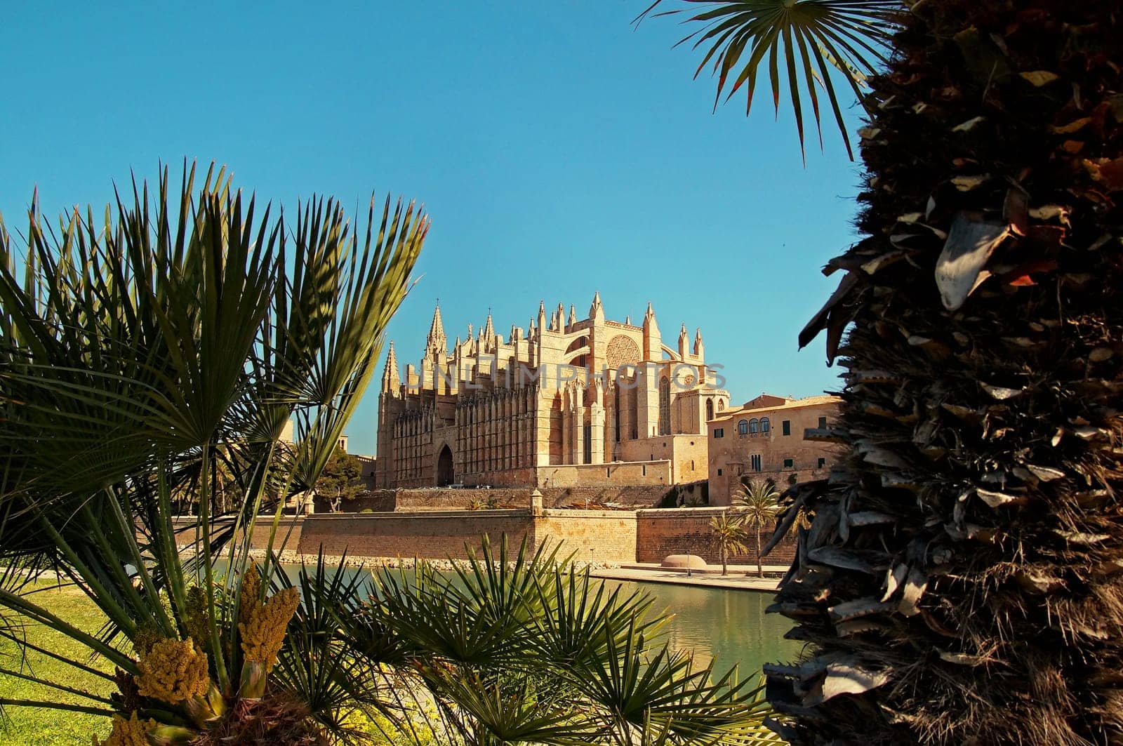 Kathedrale von Palma de Mallorca Spanien / Cathedral of Palma de Mallorca Spain