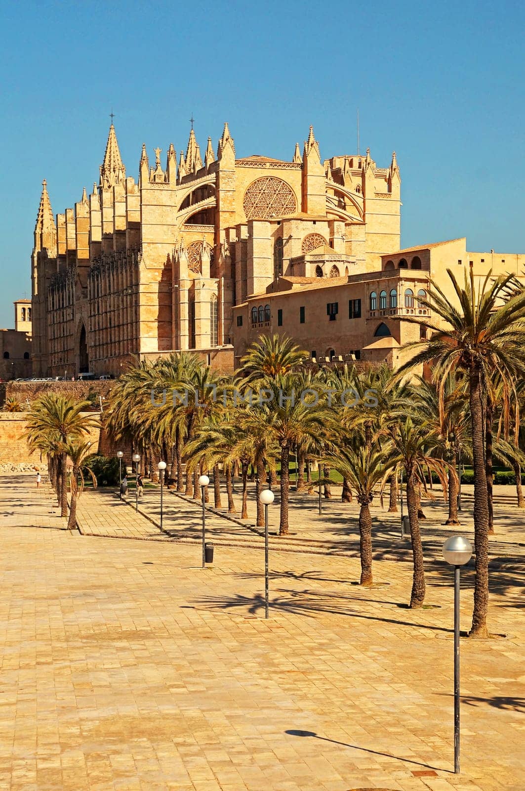 Kathedrale von Palma de Mallorca Spanien / Cathedral of Palma de Mallorca Spain