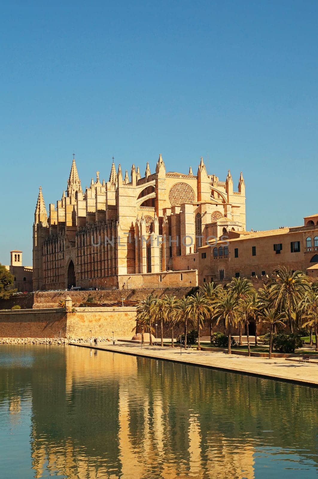 Kathedrale von Palma de Mallorca Spanien / Cathedral of Palma de Mallorca Spain