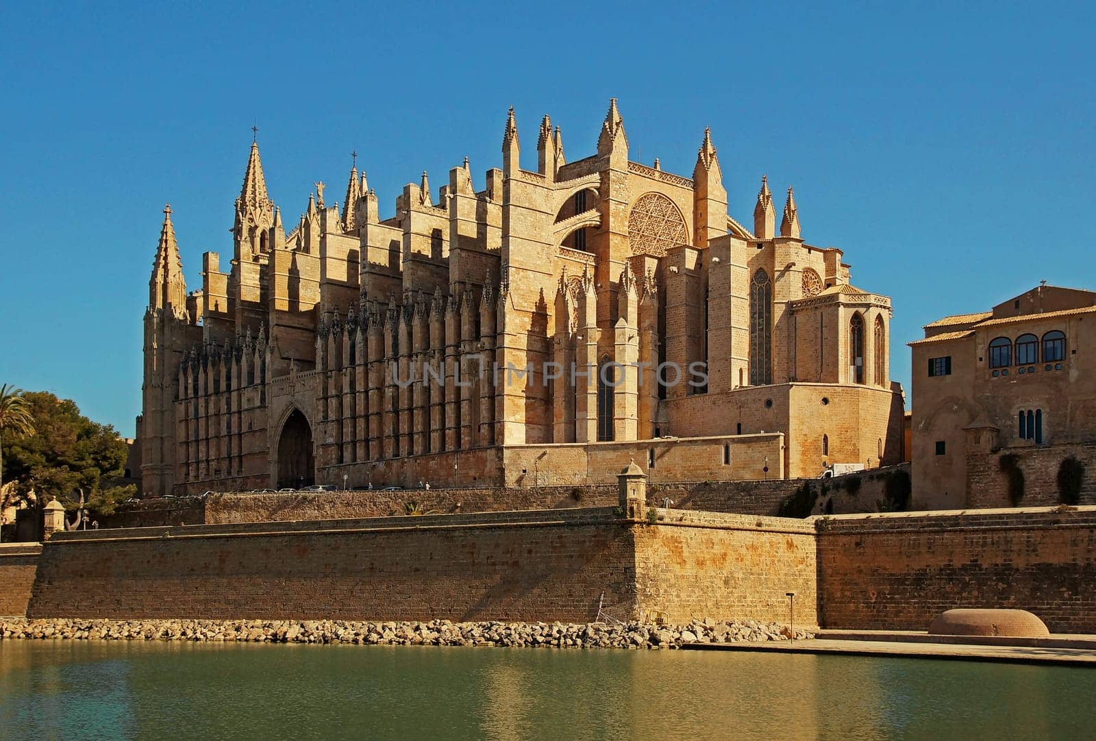 Kathedrale von Palma de Mallorca Spanien / Cathedral of Palma de Mallorca Spain