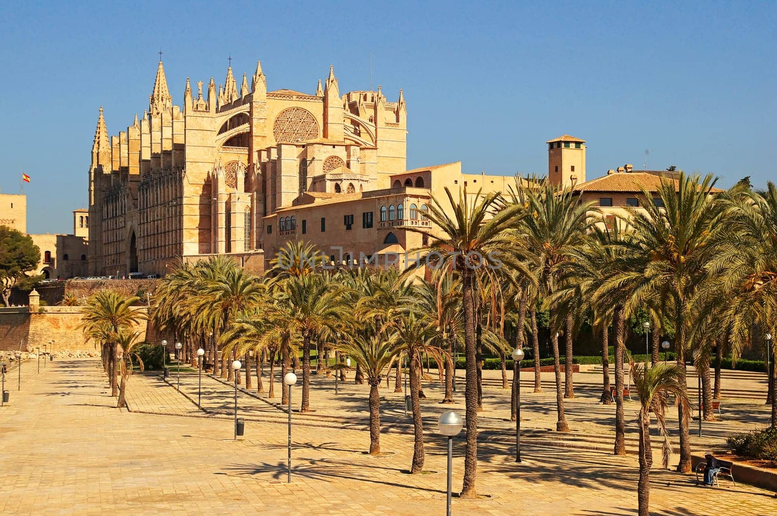 Kathedrale von Palma de Mallorca Spanien / Cathedral of Palma de Mallorca Spain
