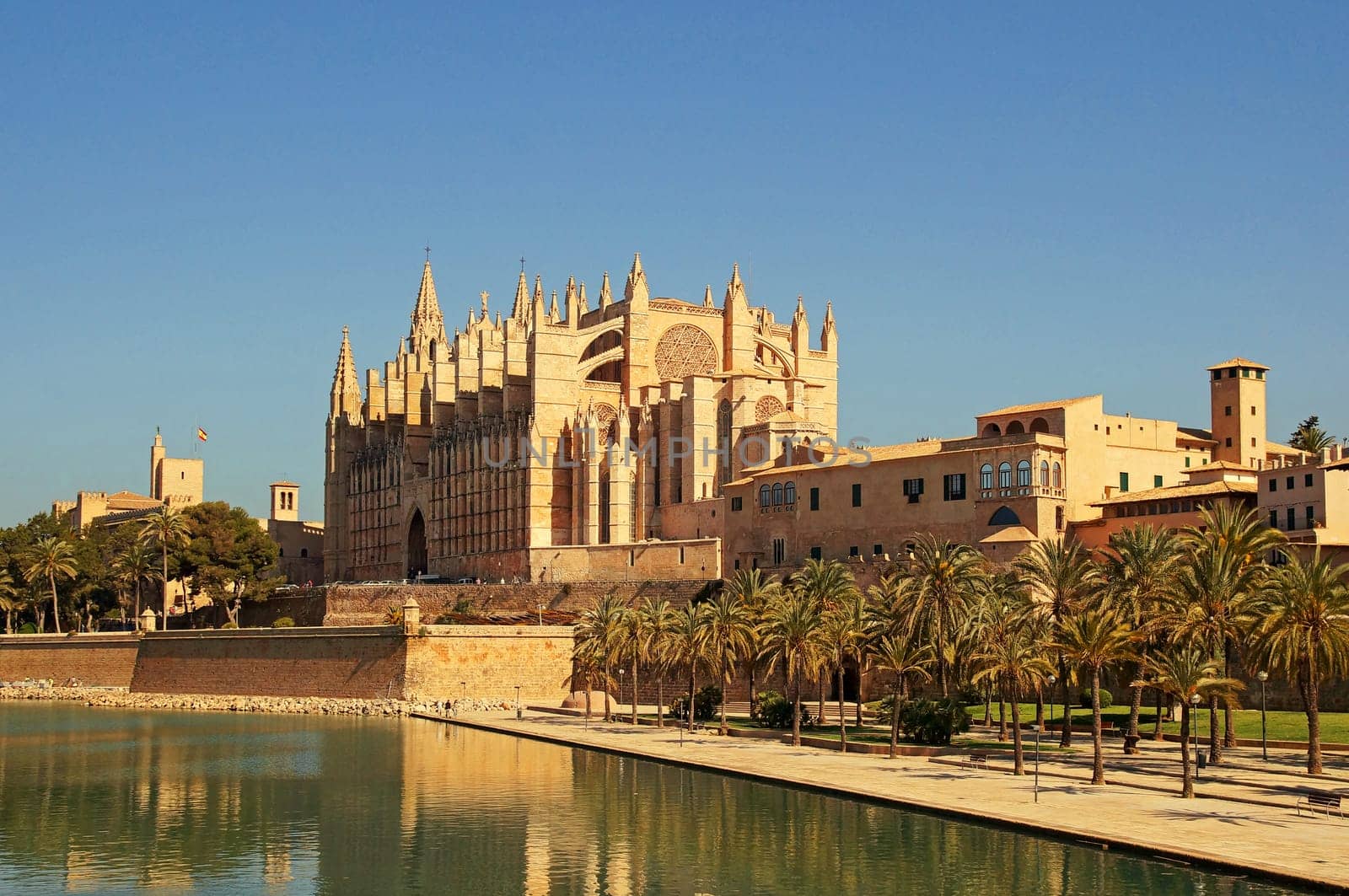 Kathedrale von Palma de Mallorca Spanien / Cathedral of Palma de Mallorca Spain