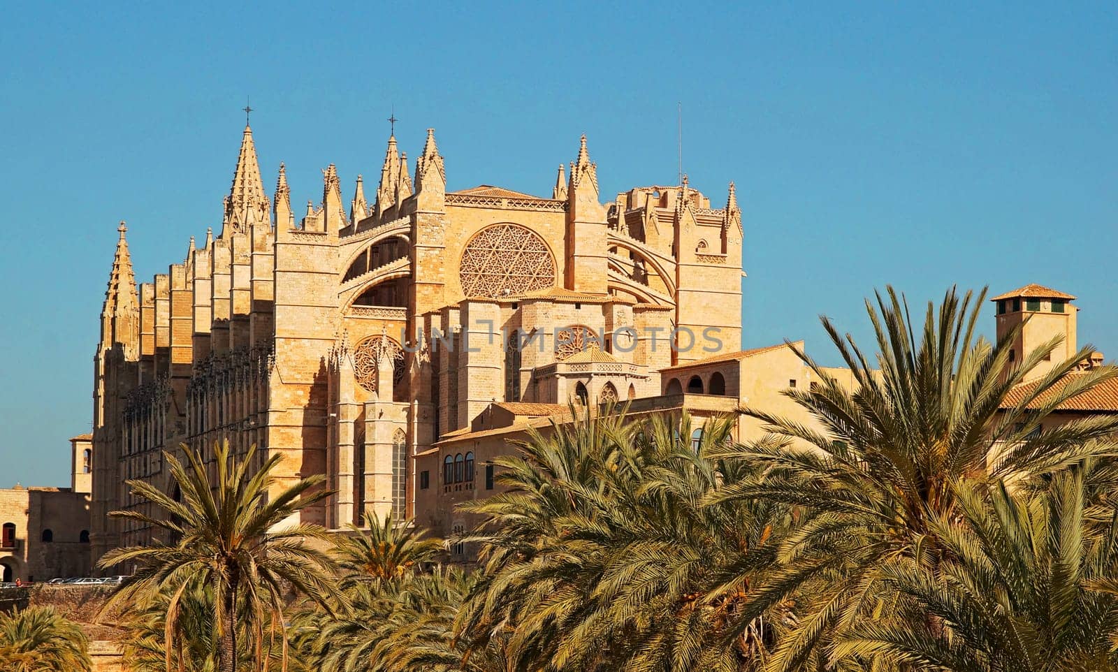 Kathedrale von Palma de Mallorca Spanien / Cathedral of Palma de Mallorca Spain