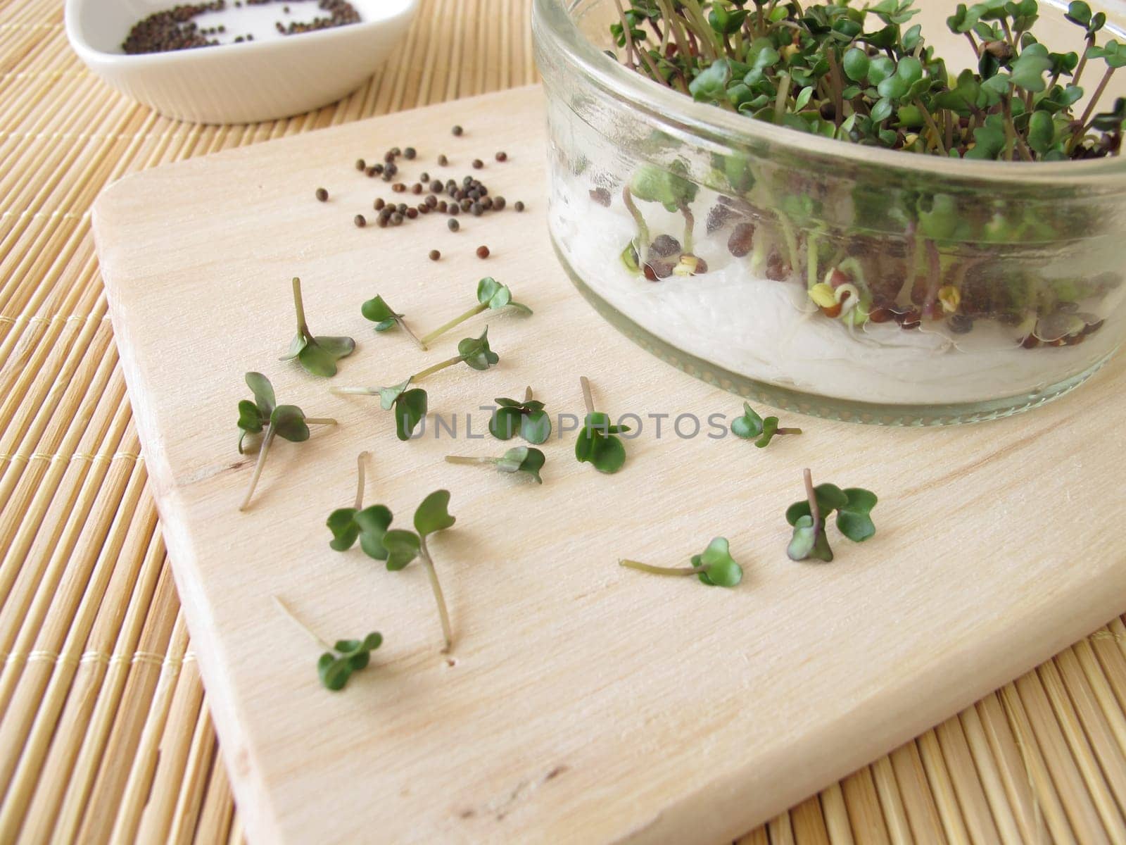 Sprout broccoli