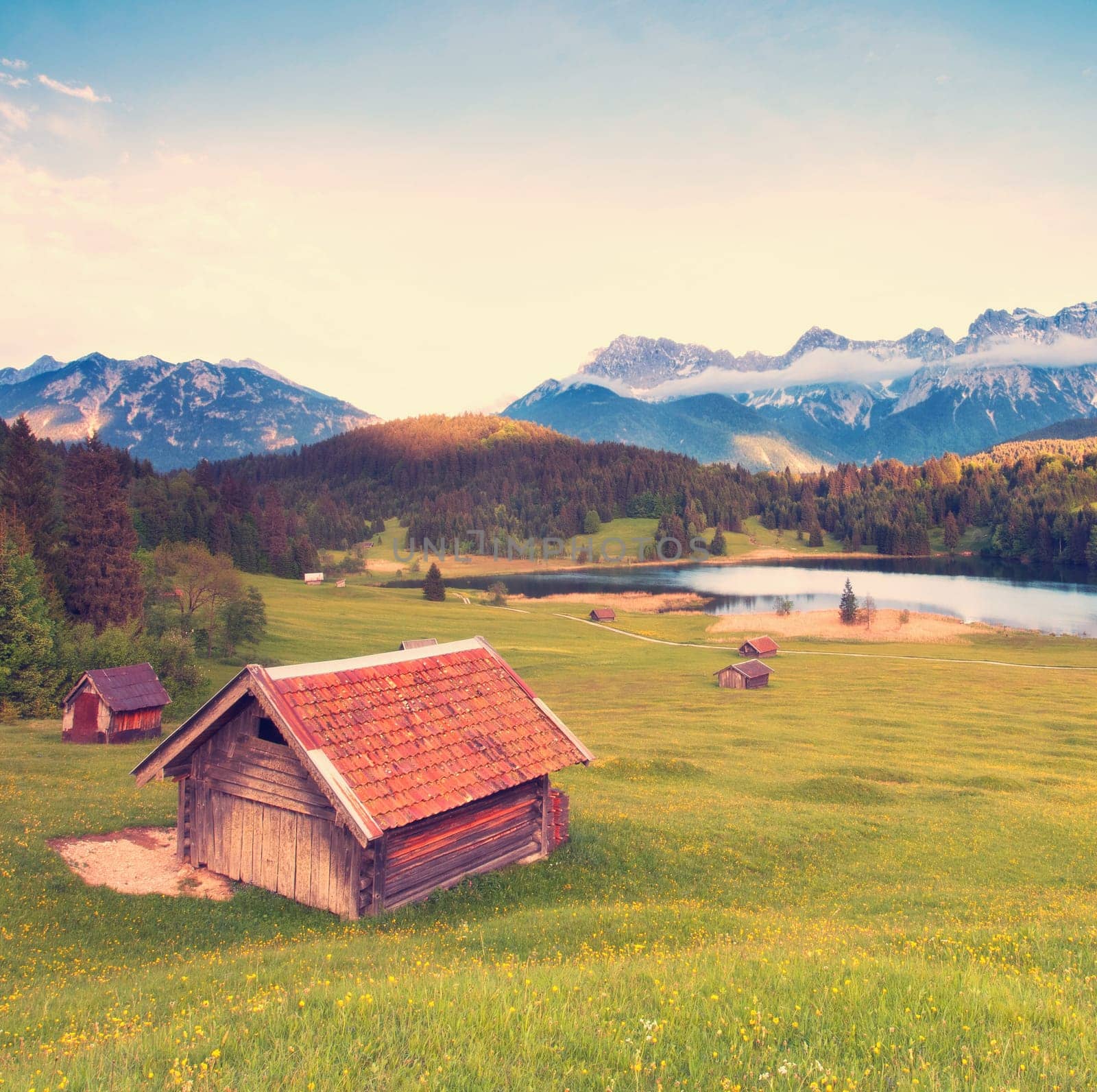 Almwiese am Karwendel