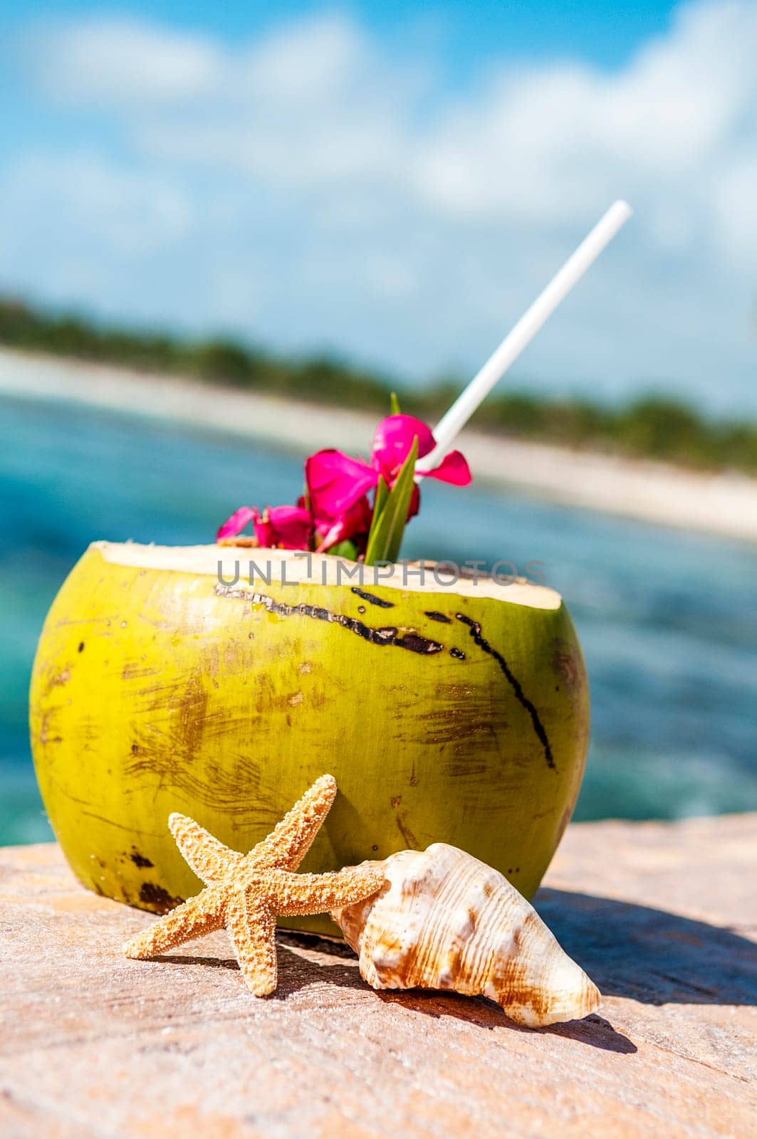 Coconut with drinking straw on a palm tree at the sea