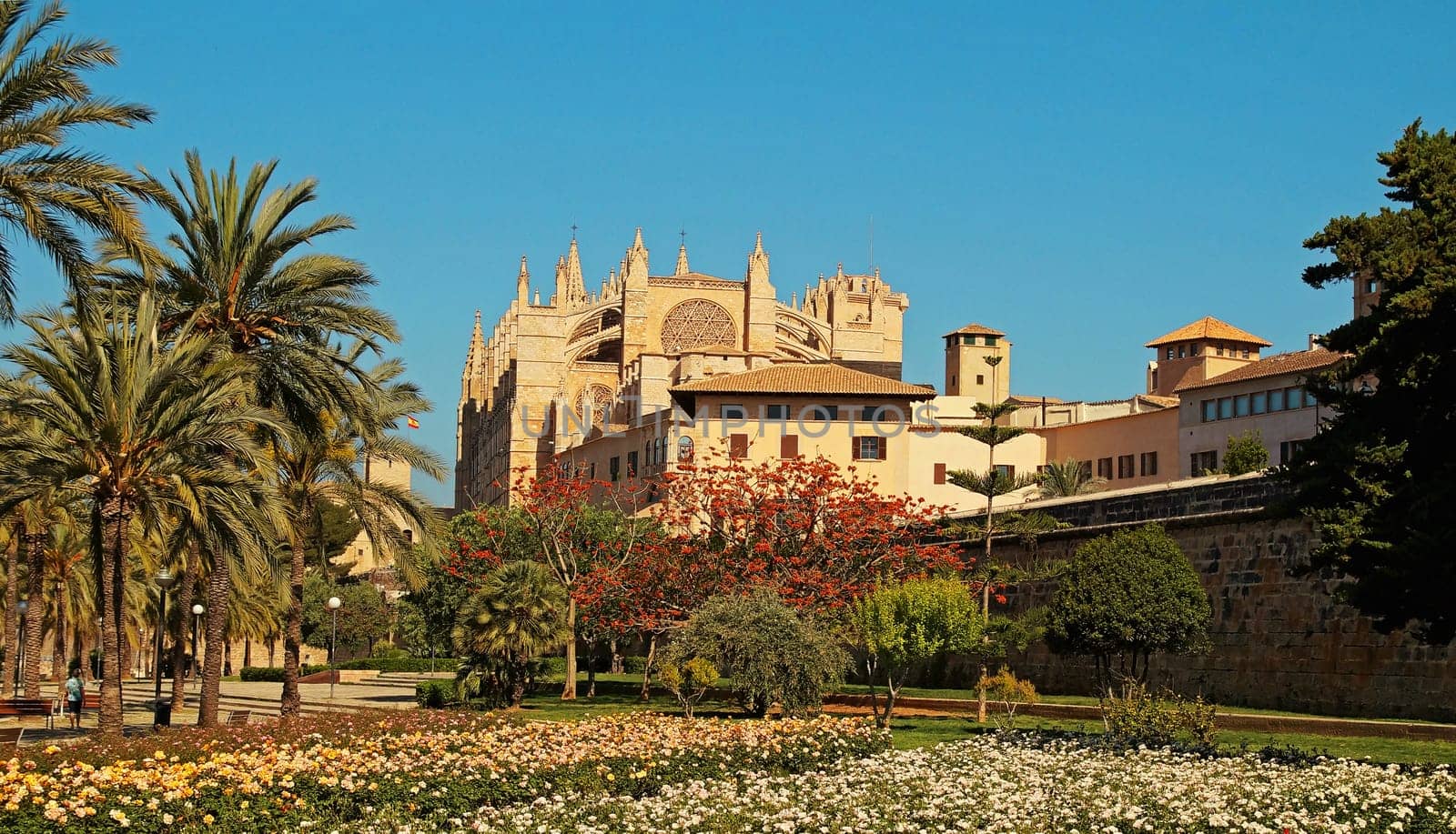 Kathedrale von Palma de Mallorca Spanien / Cathedral of Palma de Mallorca Spain