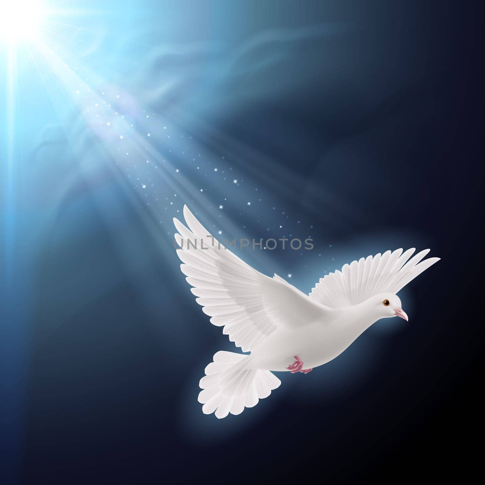 White dove flying in sunlight against dark  blue sky as symbol of peace