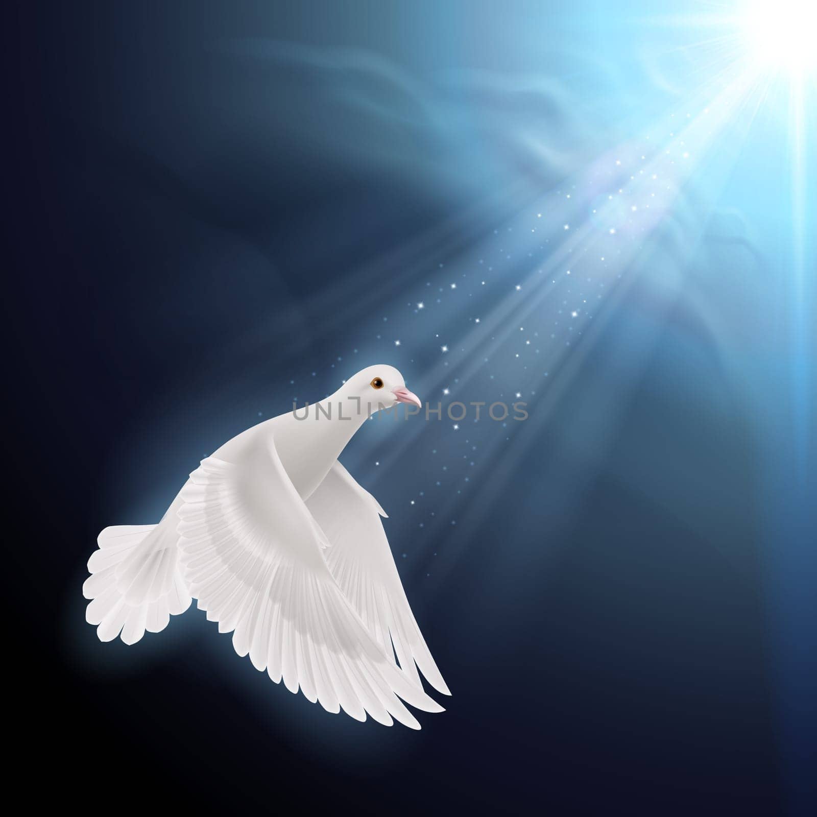 White dove flying in sunlight against dark  blue sky. Symbol of peace and hope