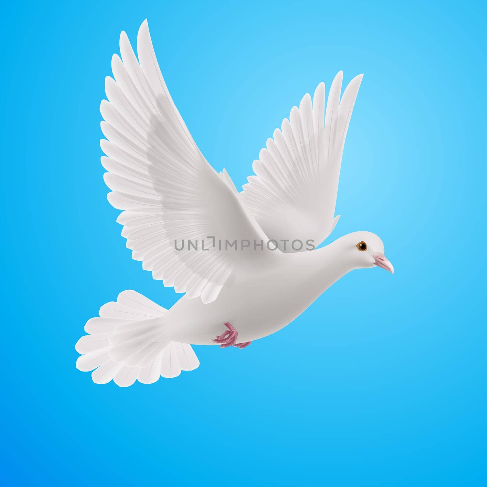 Realistic white dove on blue background. Symbol of peace