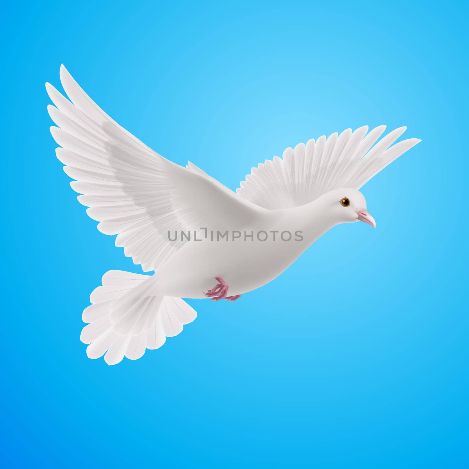 Realistic white dove on blue sky background. Symbol of peace