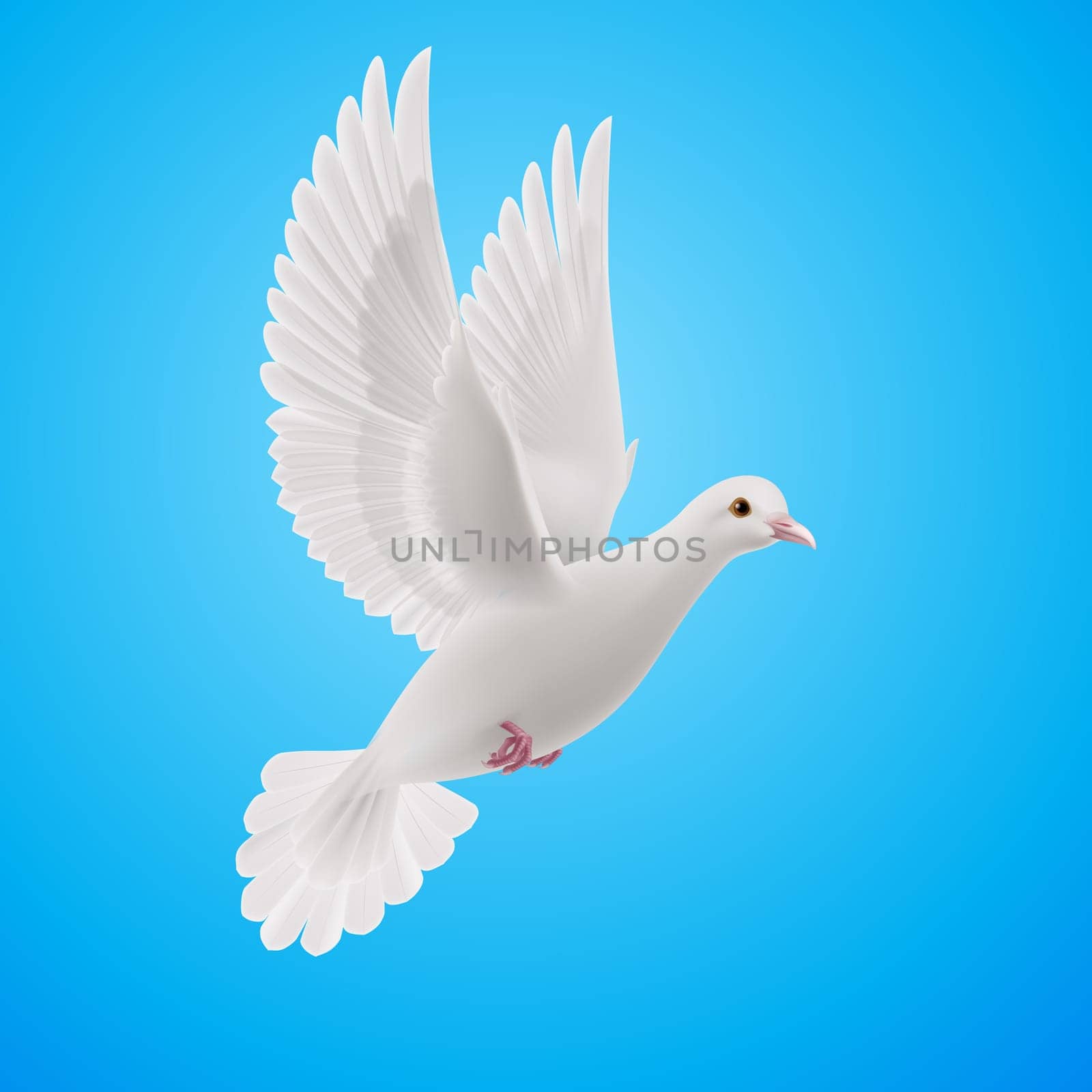 Realistic white dove flying on blue sky background. Symbol of peace