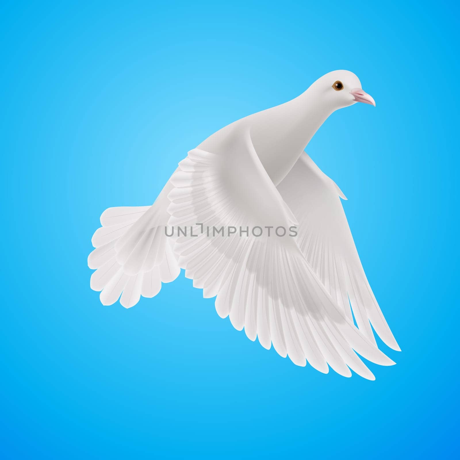 Flying white dove on blue sky background. Symbol of peace
