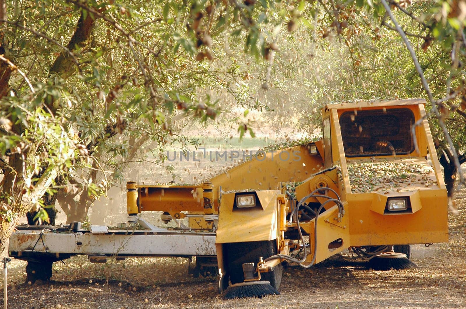 Almond combain at the harvest time. California, USA