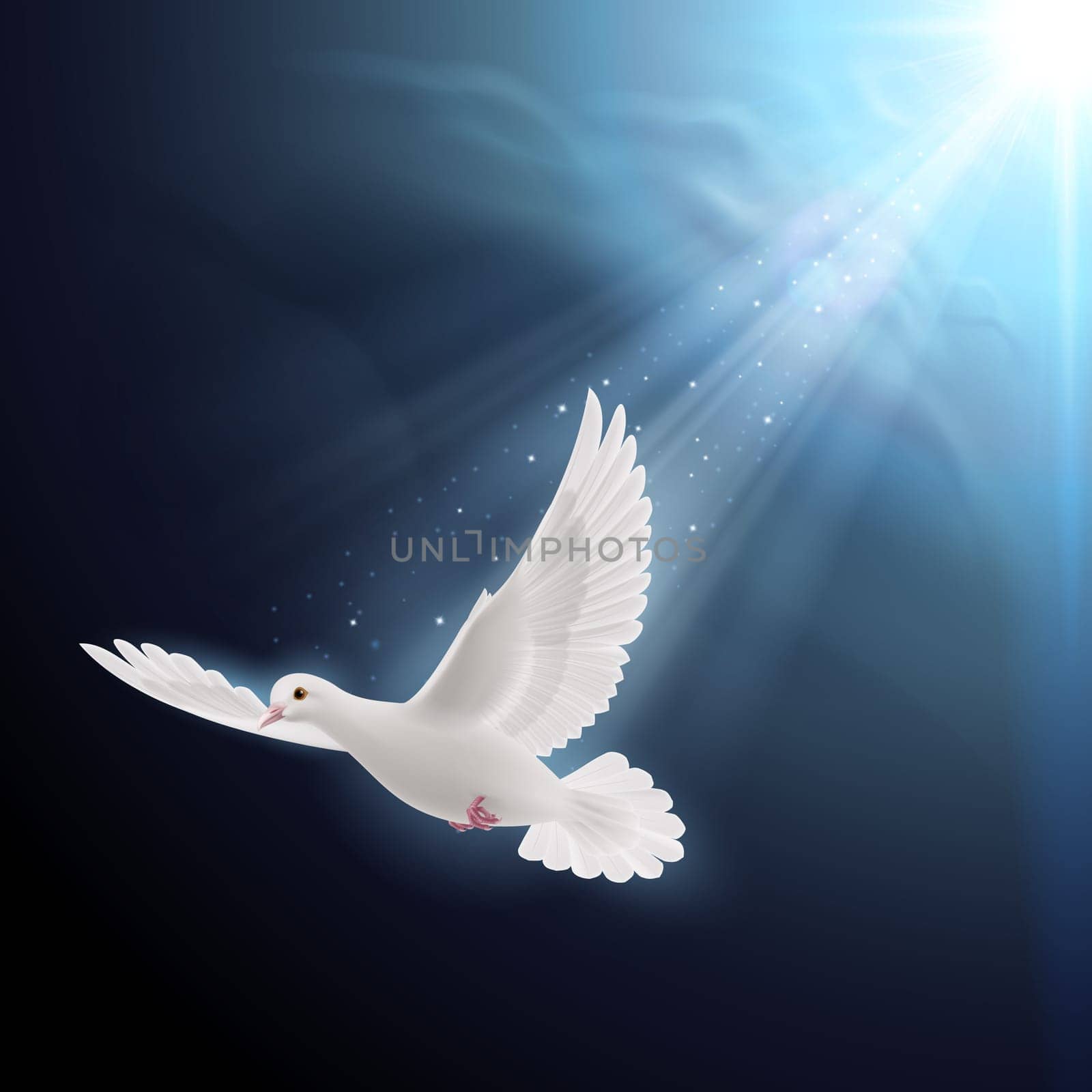 White dove flying in sunlight against dark  blue sky. Symbol of peace