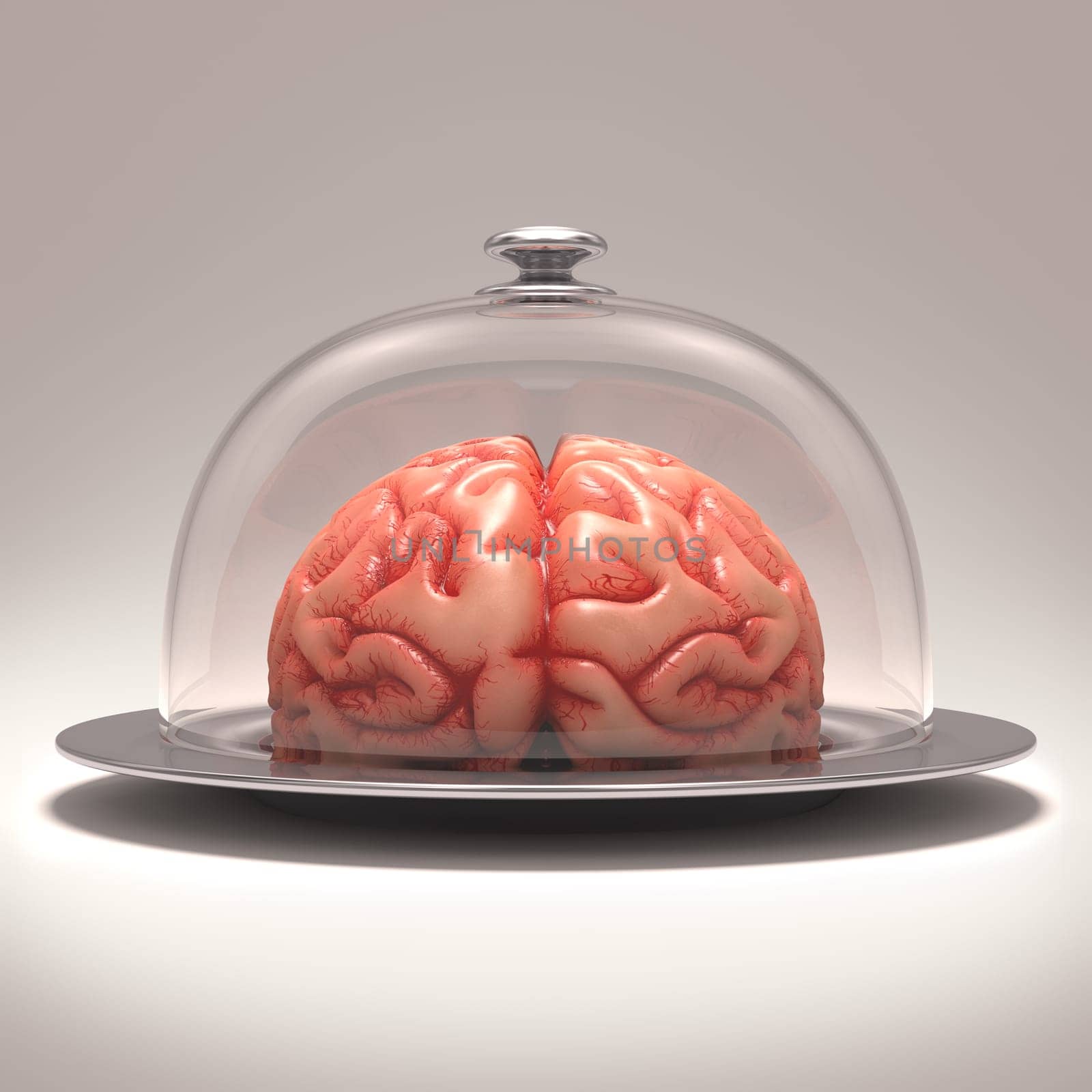 Brain over a stainless steel platter covered by a glass cover. Clipping path included..